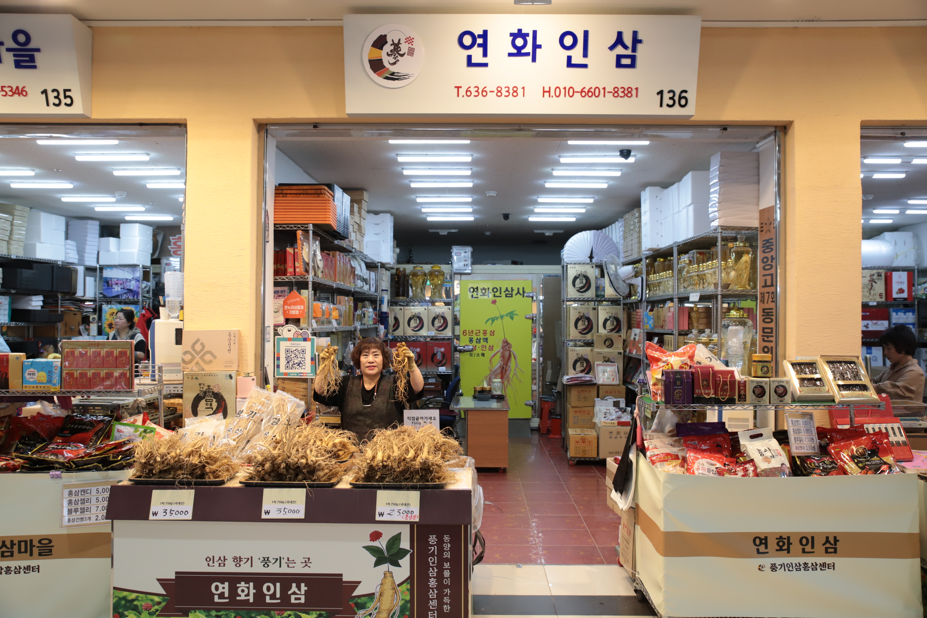 풍기 연화인삼