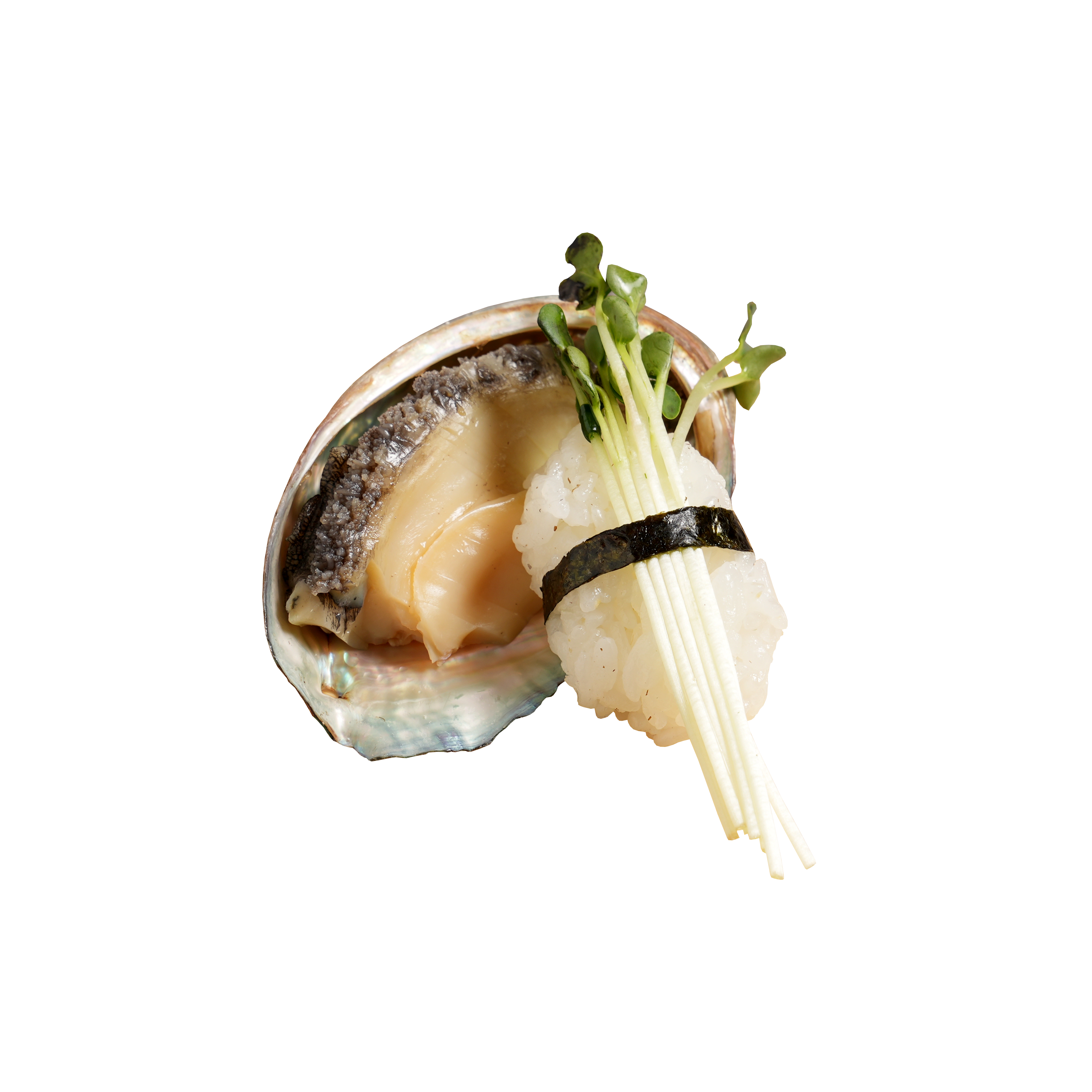Abalone