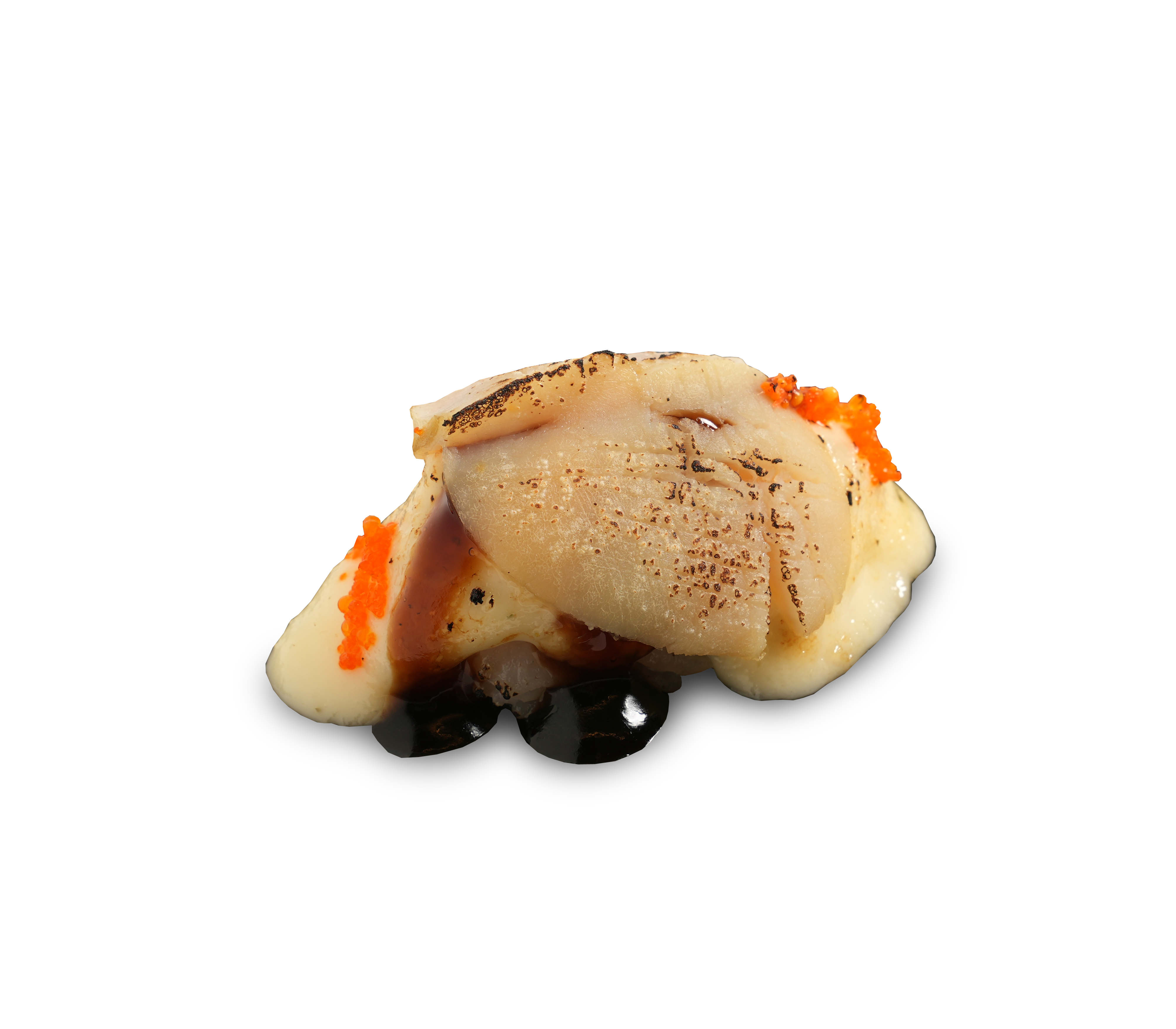 Scallop