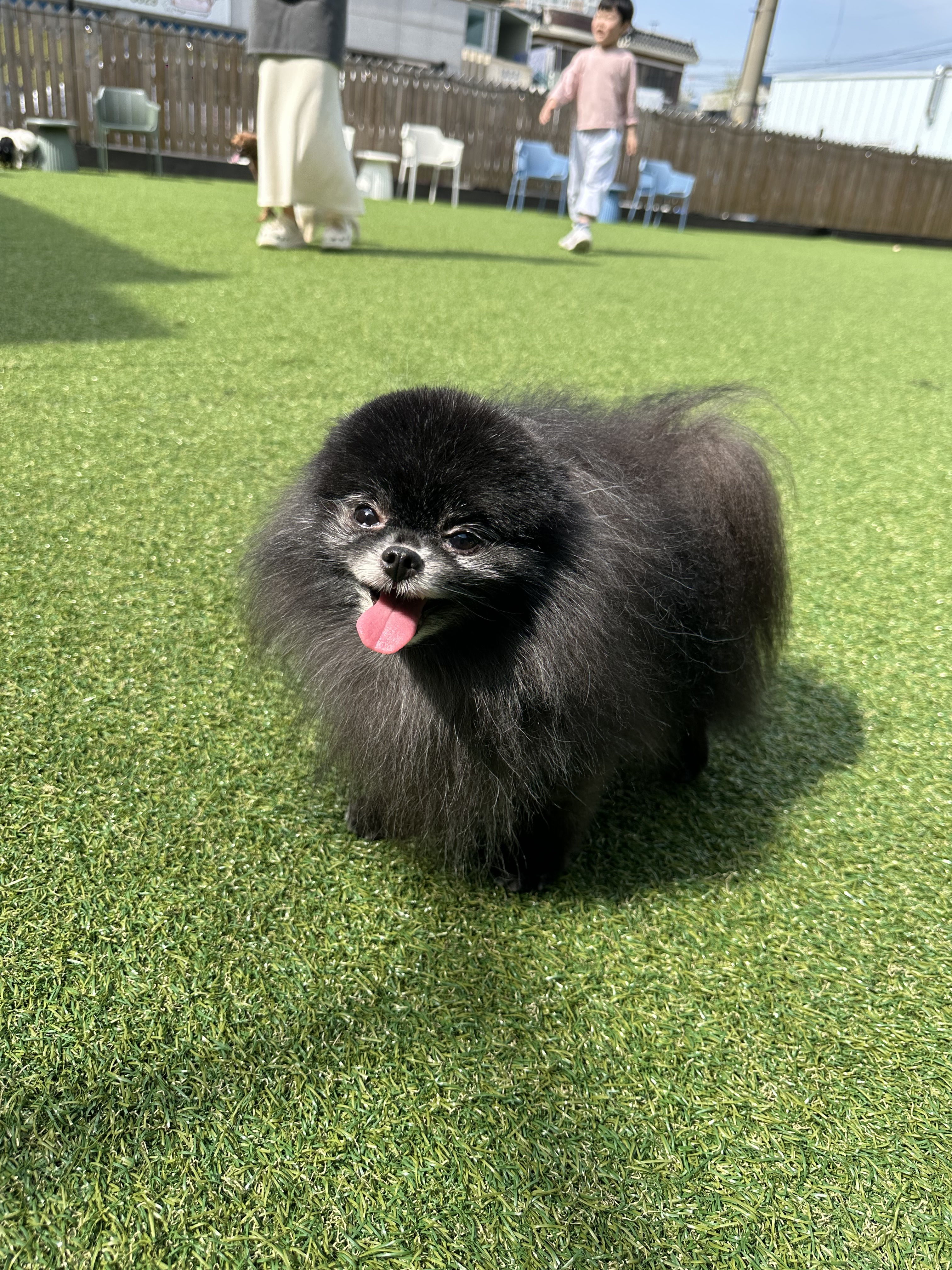아띠멍멍 대표 이미지