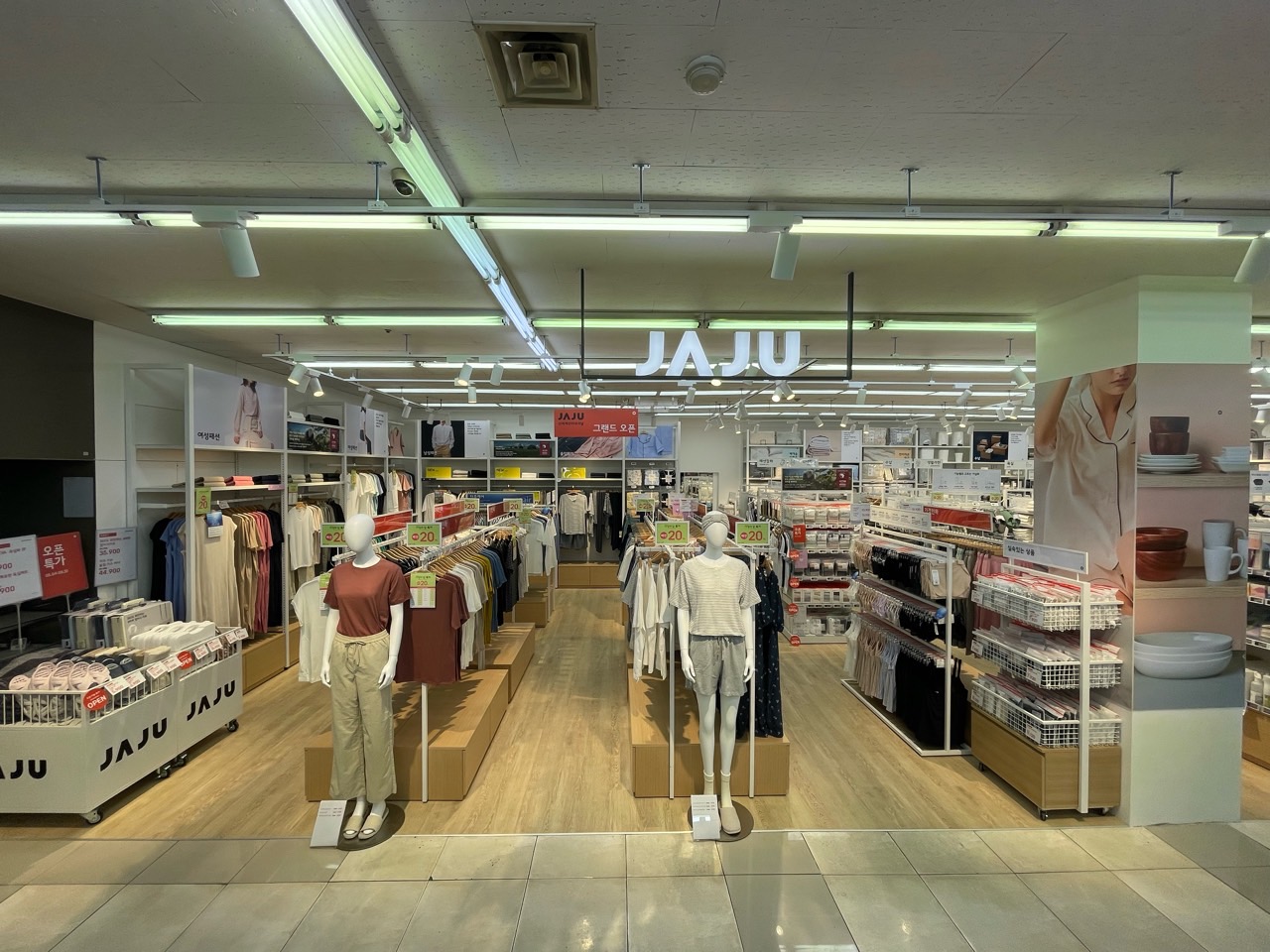 JAJU ED당동점