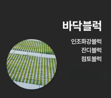 예스텍