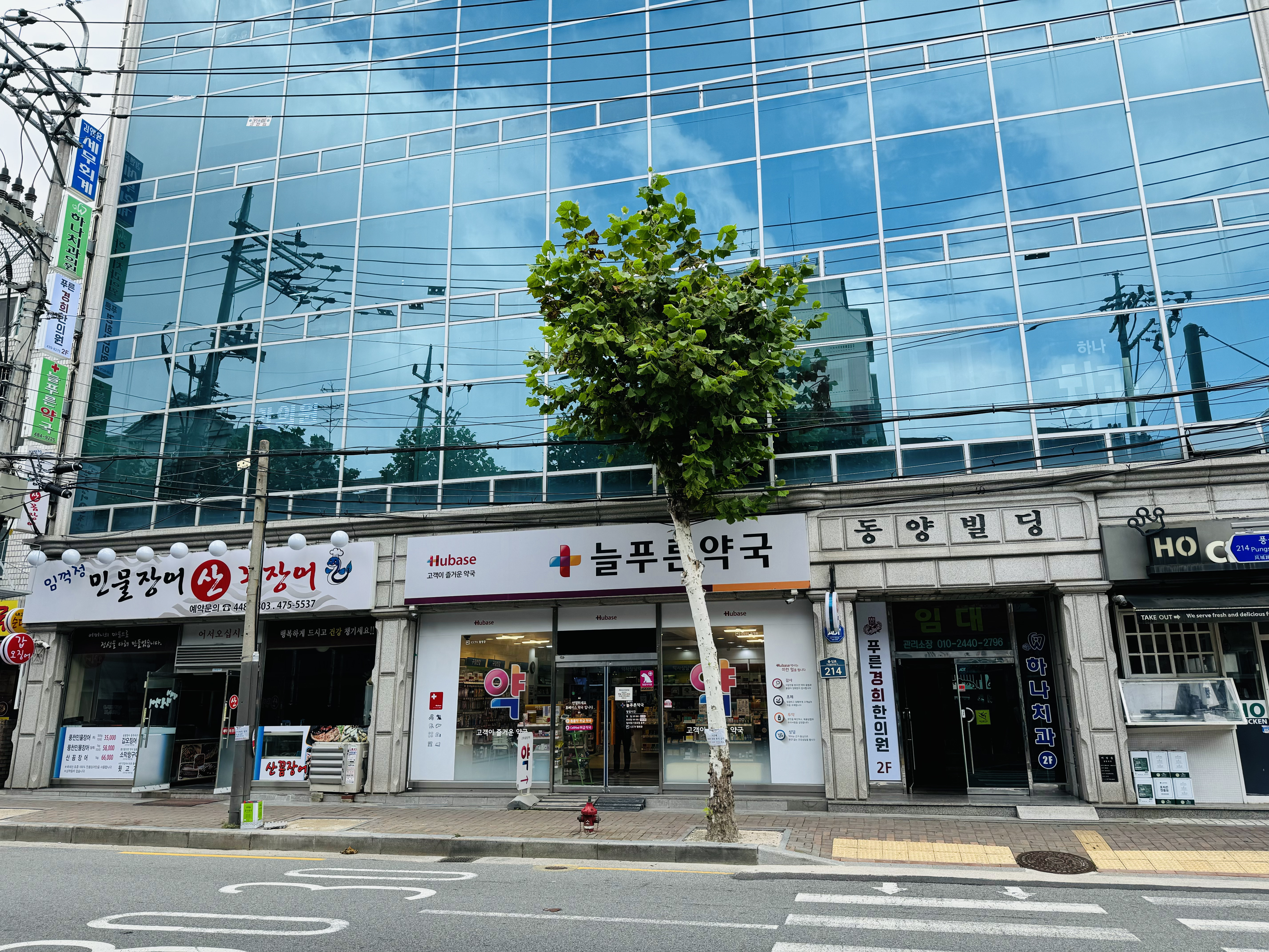 푸른경희한의원