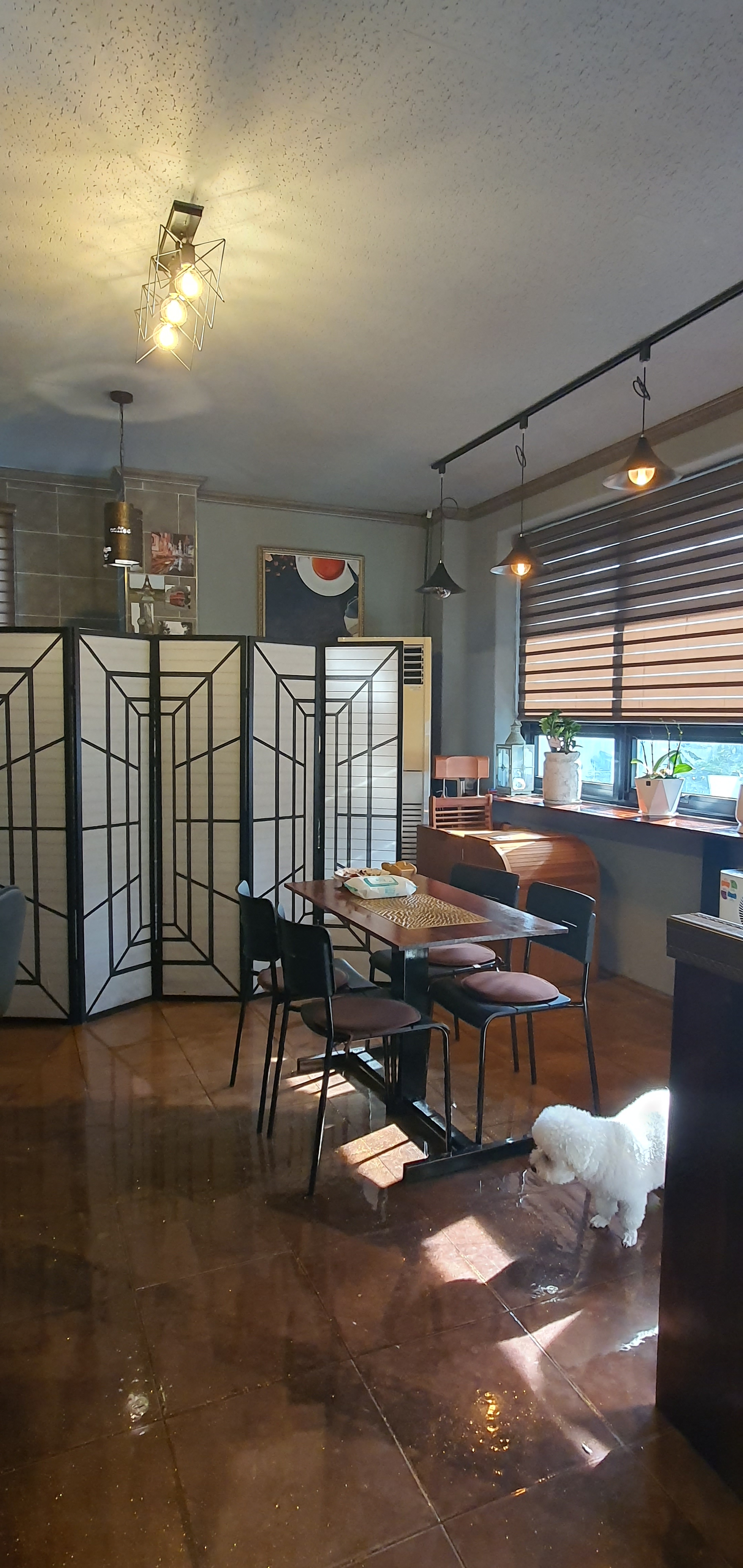 라인바디케어마사지 photo 4