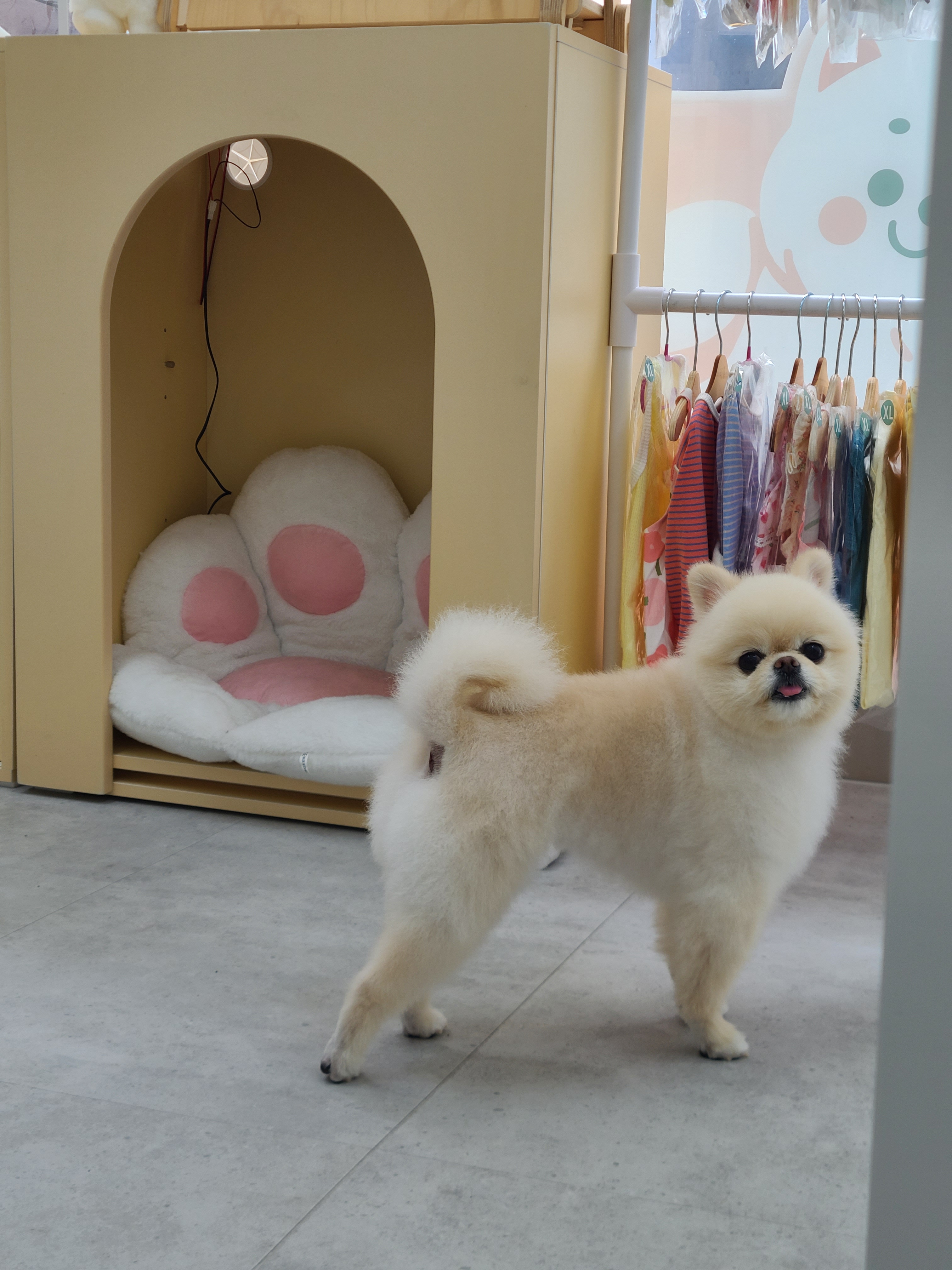 멍아지트 대표 이미지