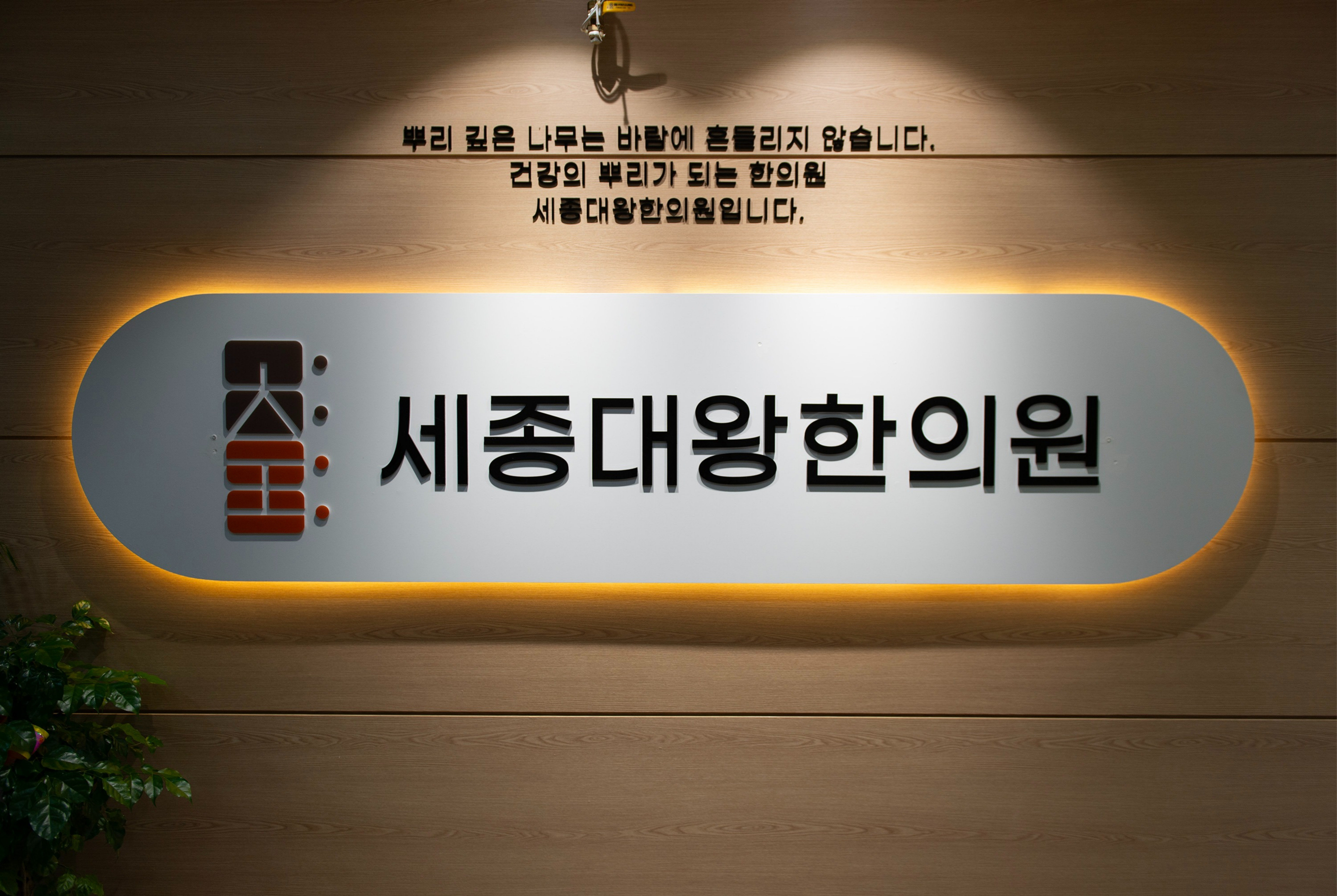 세종대왕한의원