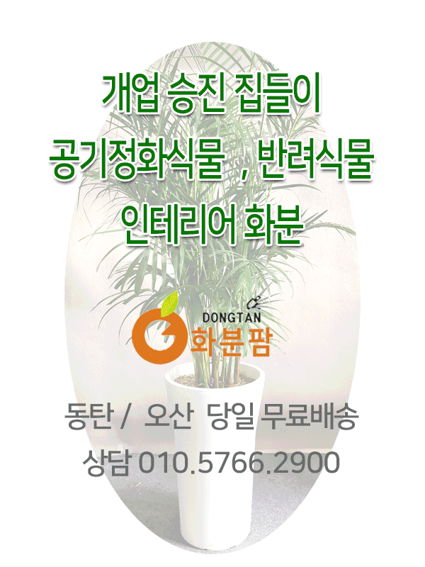 동탄화분팜