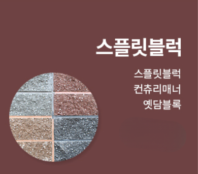 예스텍