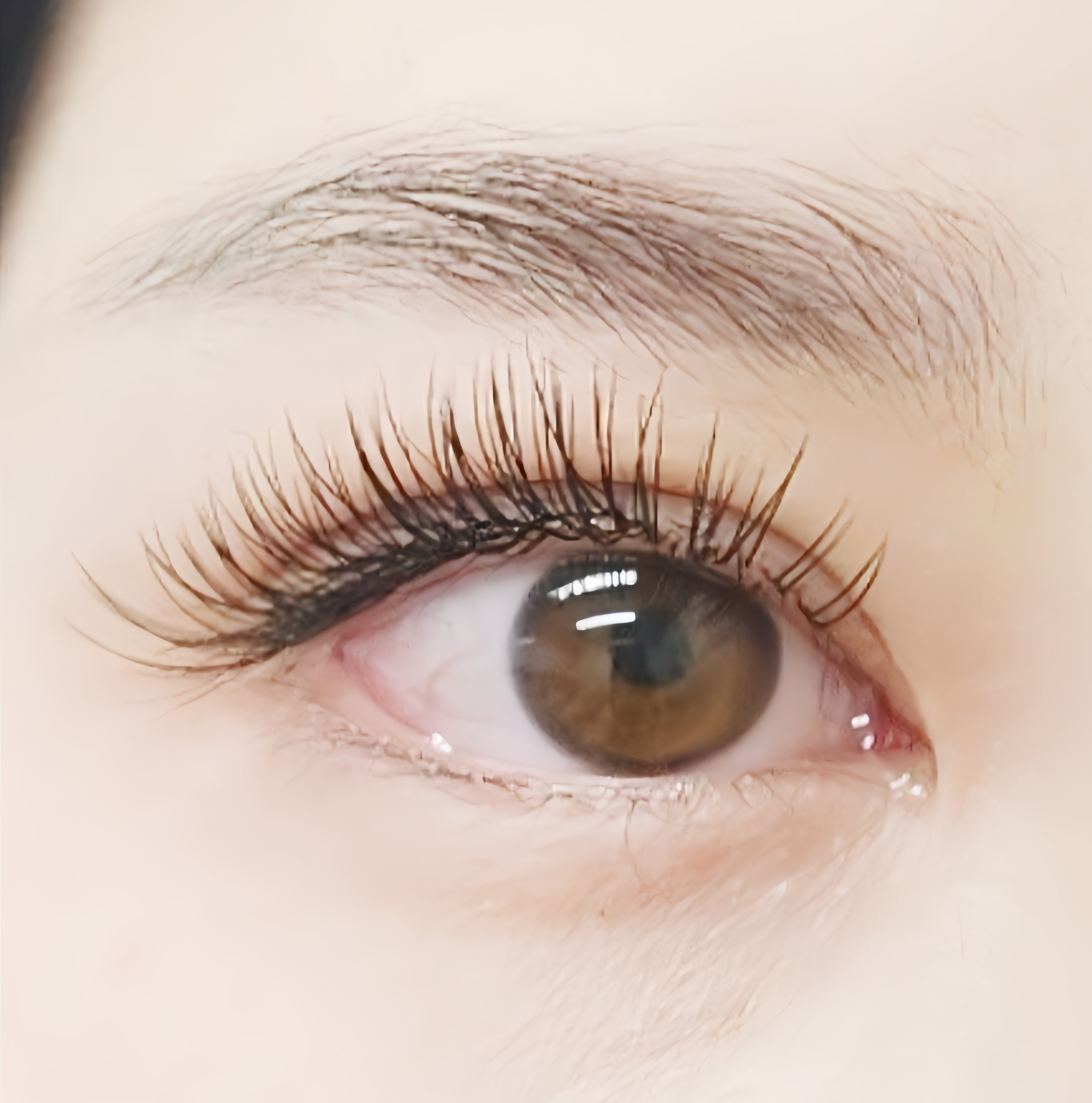 래쉬걸 대표 이미지