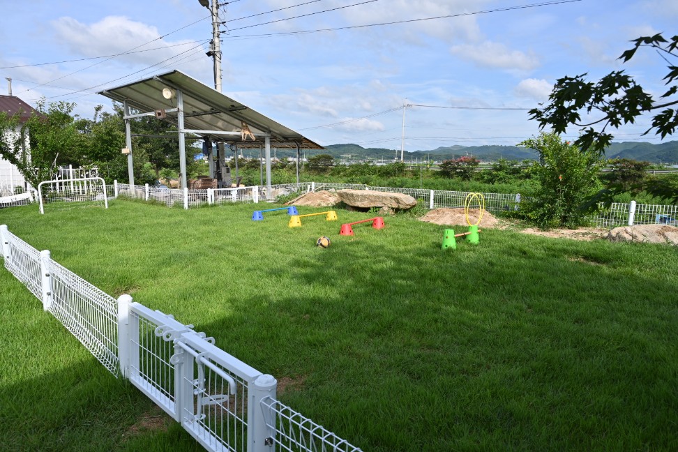 사진 10