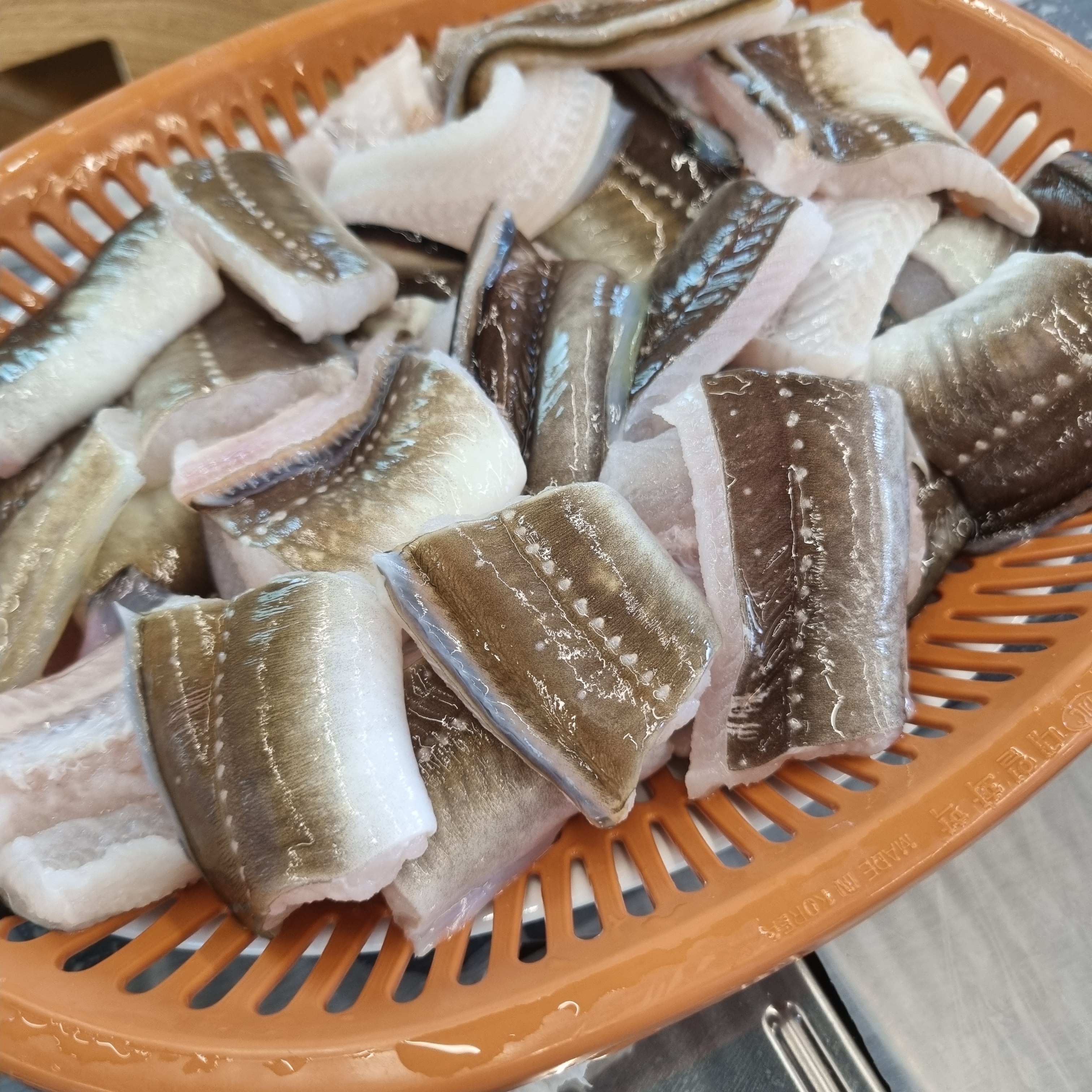 솔정장어