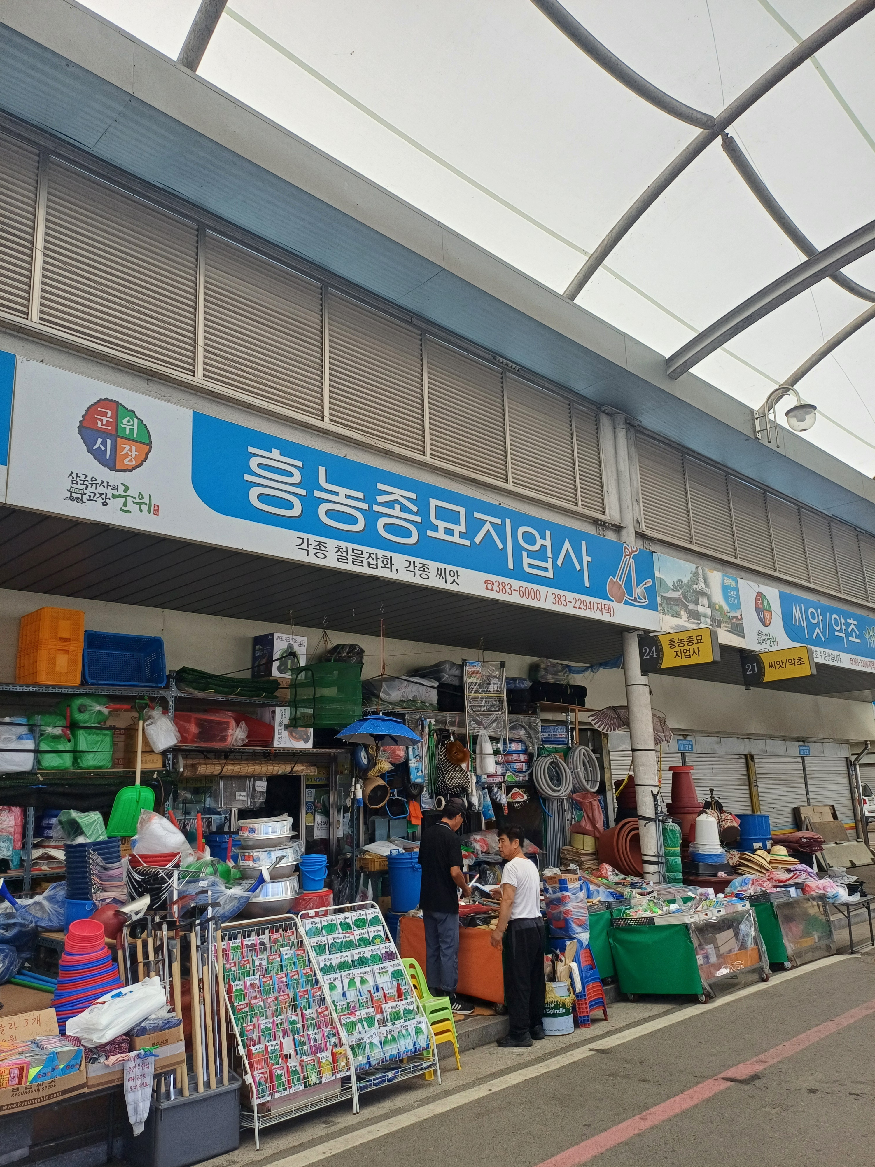 대일마대종합