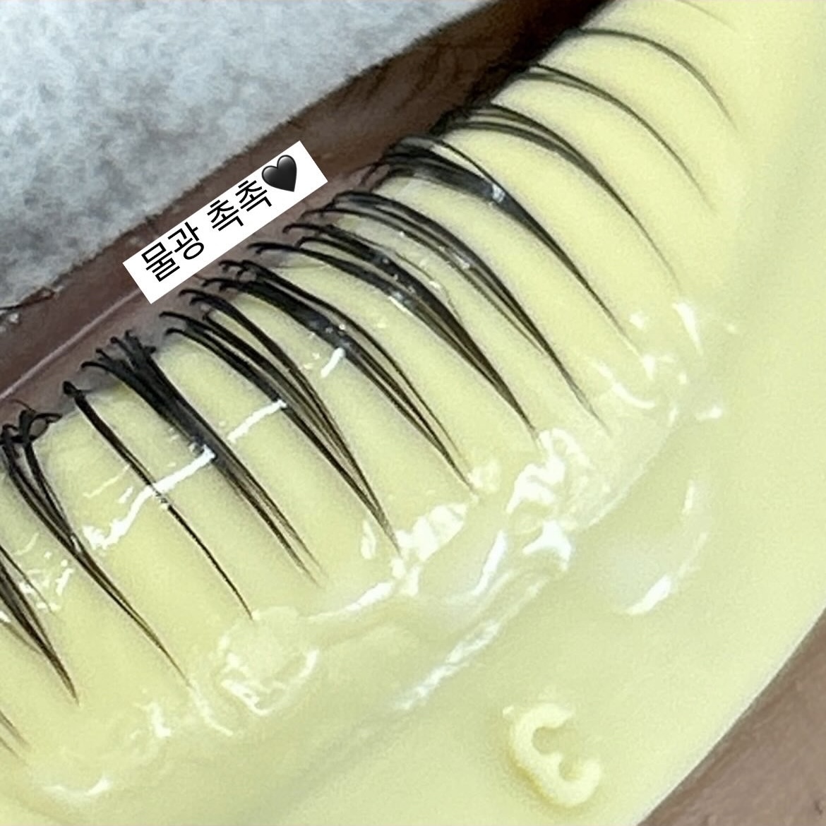 르솜브로우 대표 이미지