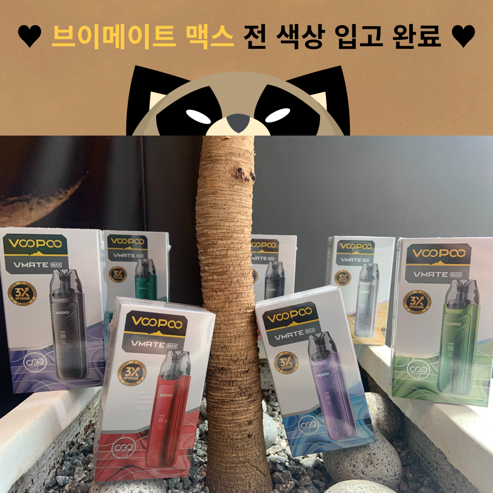 송파 너구리굴 전자담배 문정점