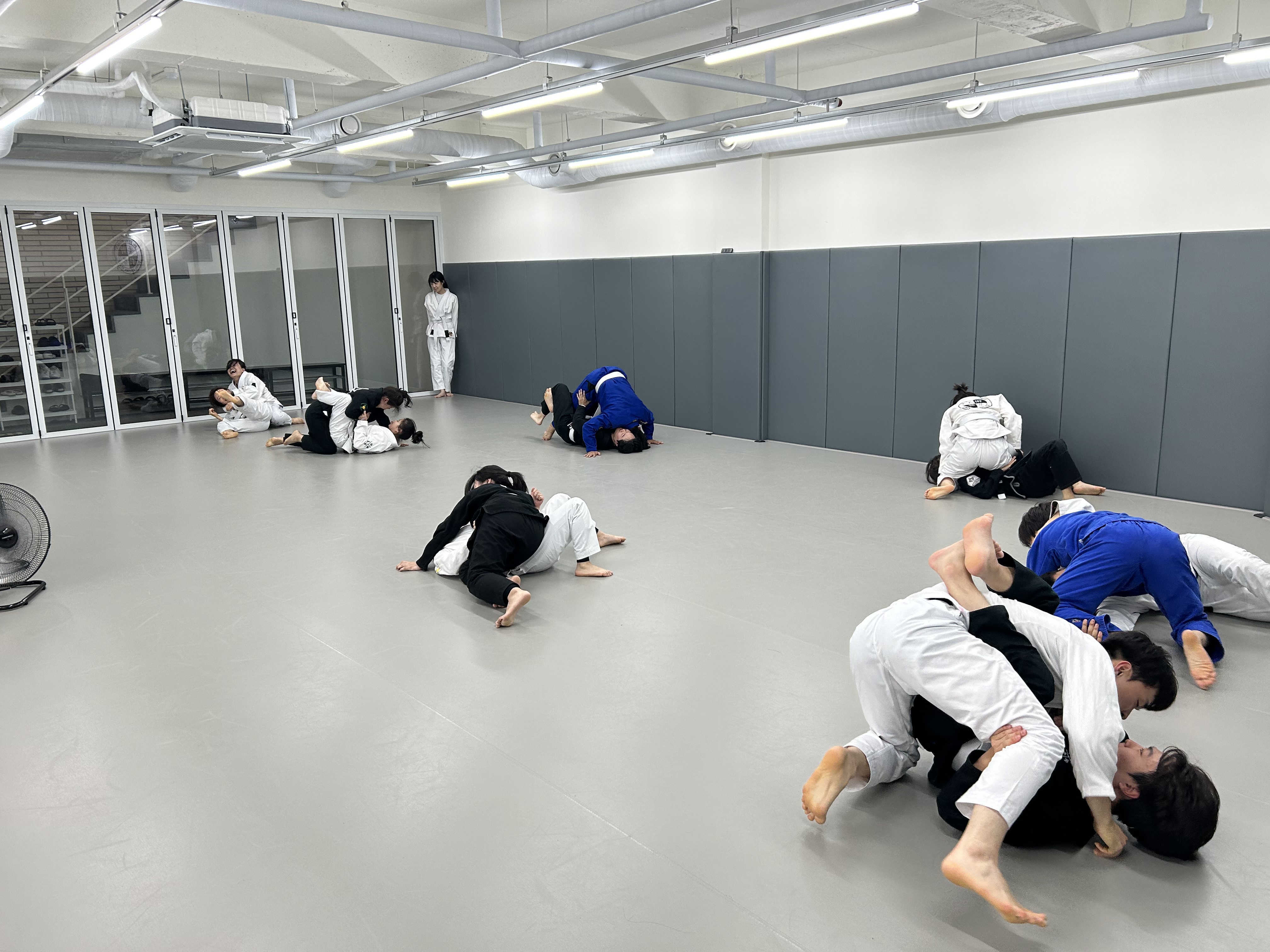 주짓수월드 잠실