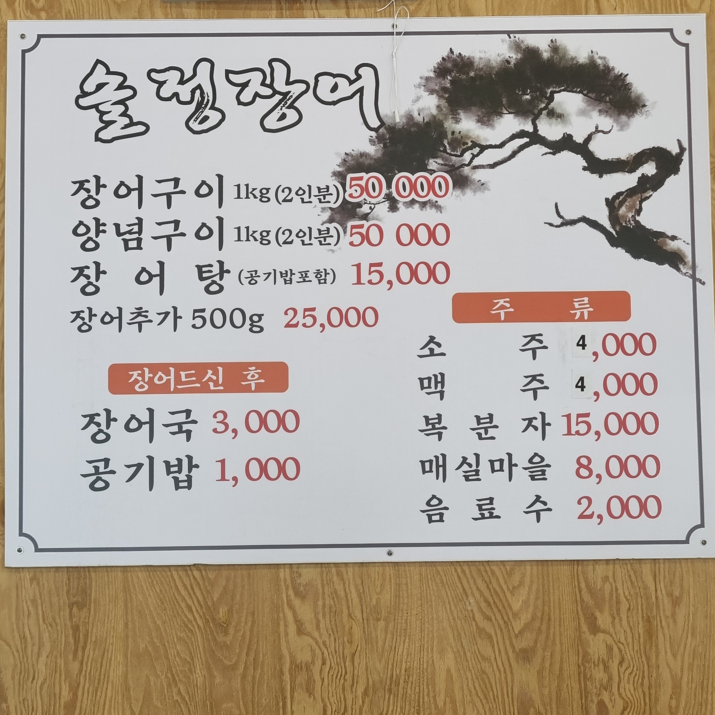 솔정장어