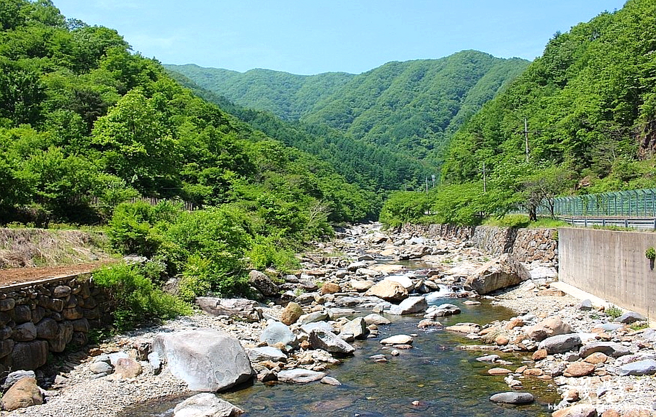 맑은하늘펜션