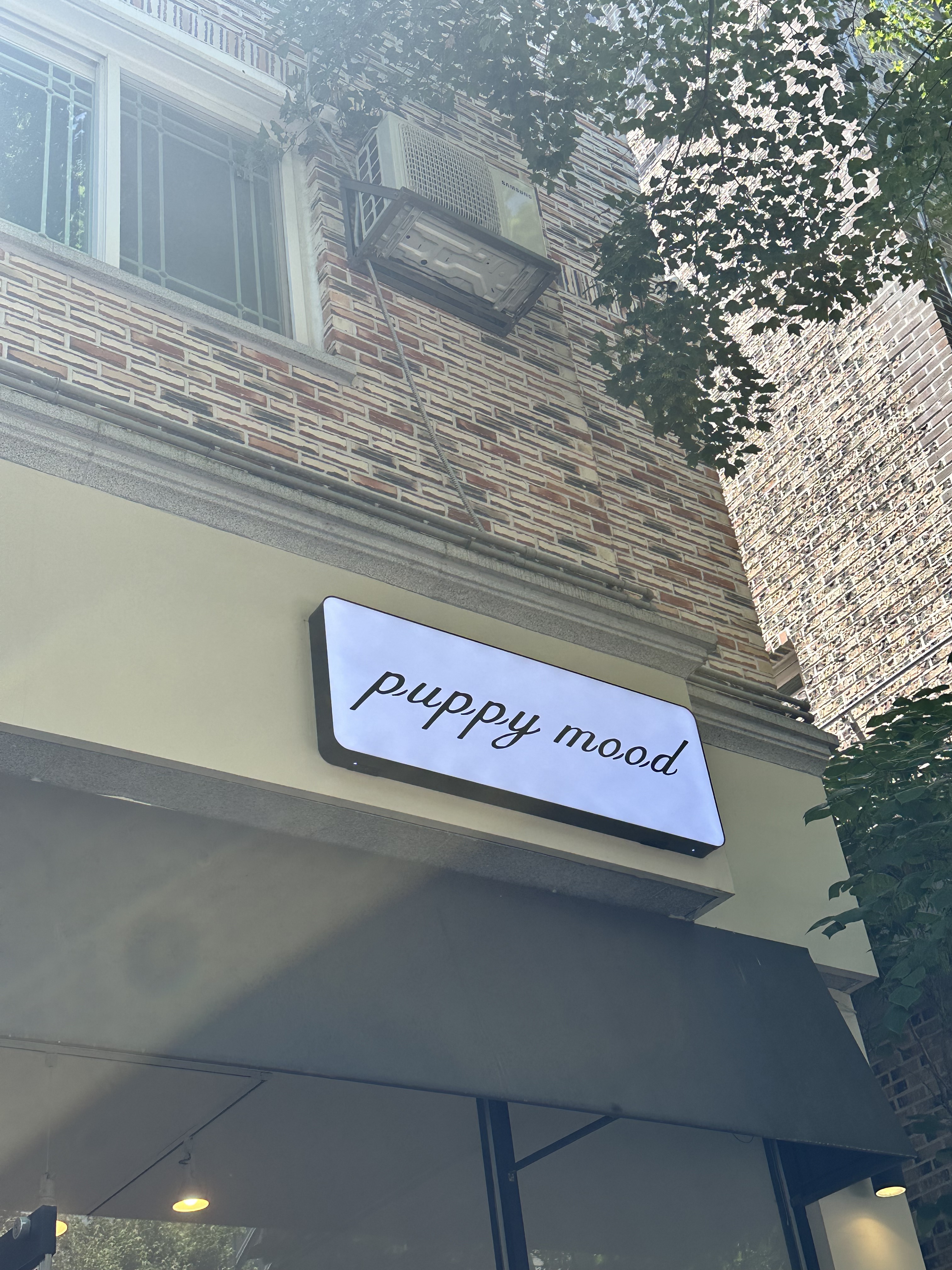 퍼피무드 대표 이미지