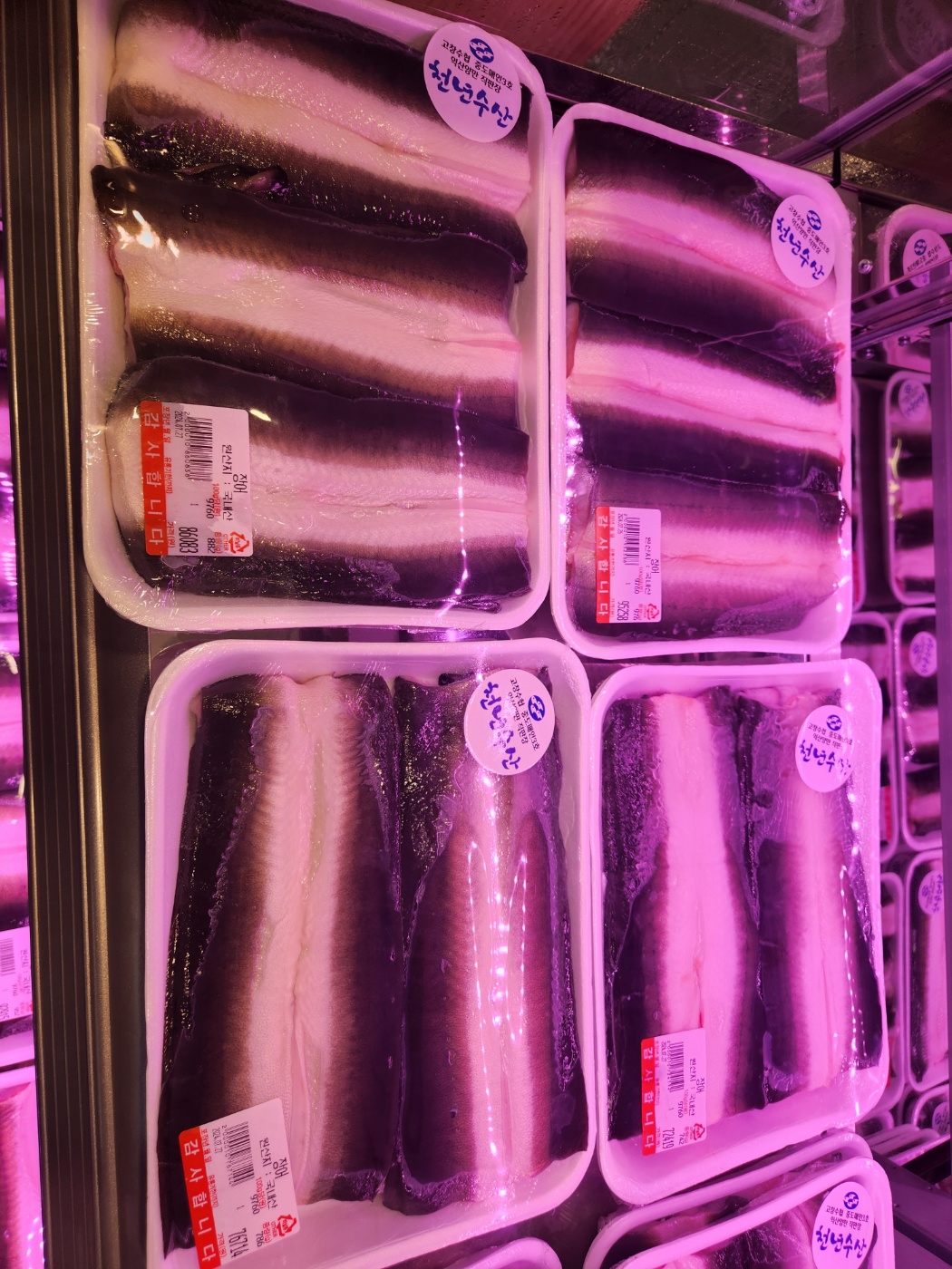 천년풍천장어