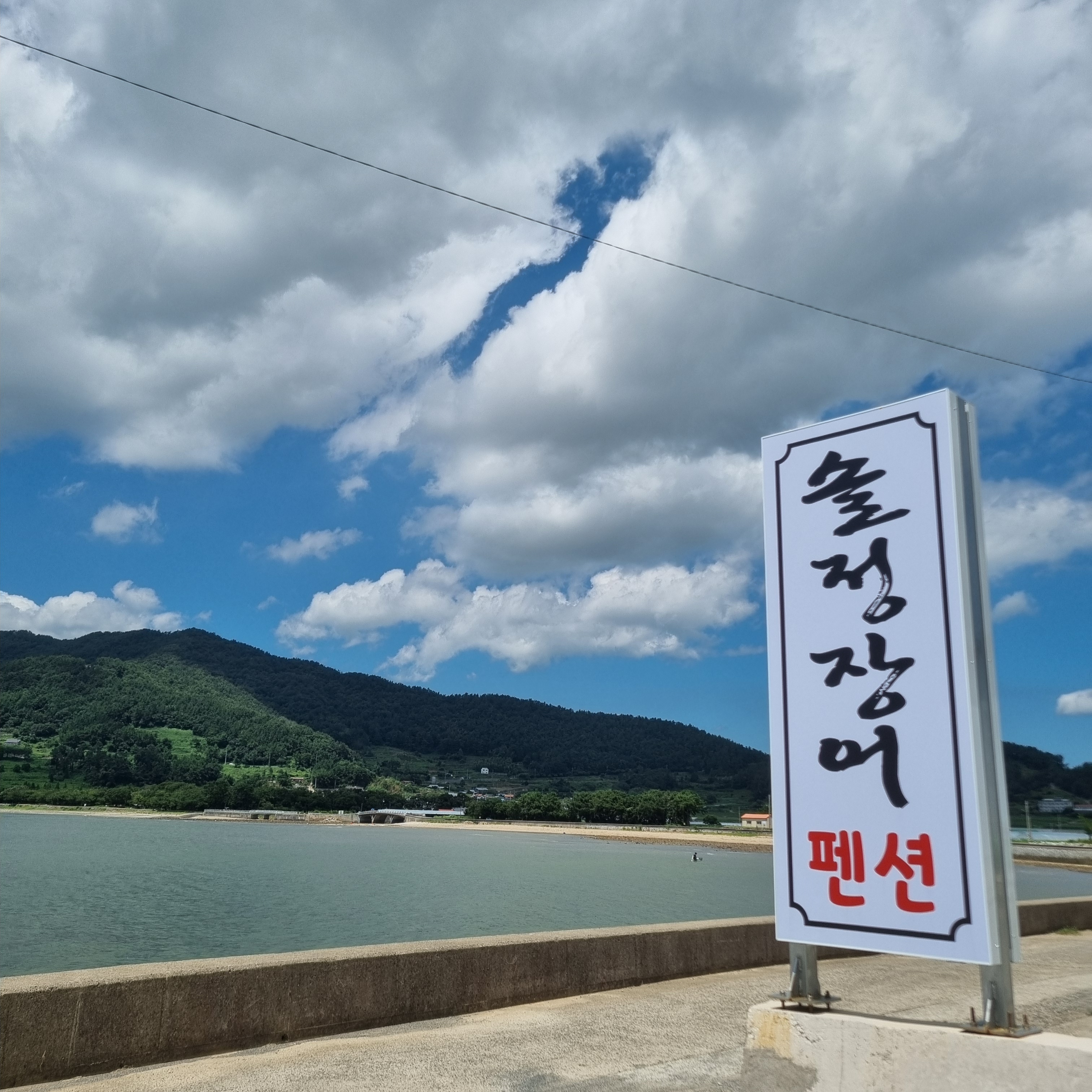 솔정장어