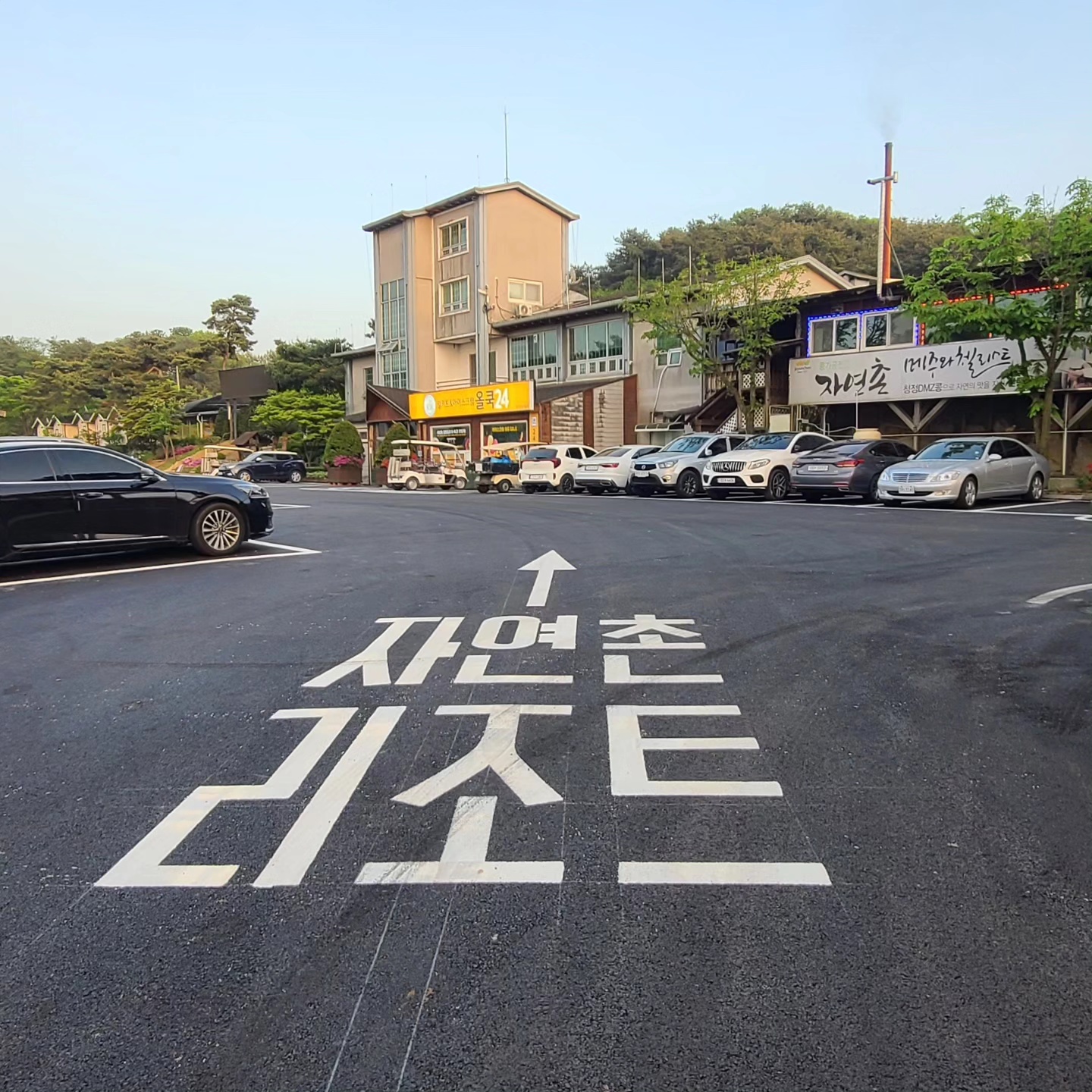 팔도관광