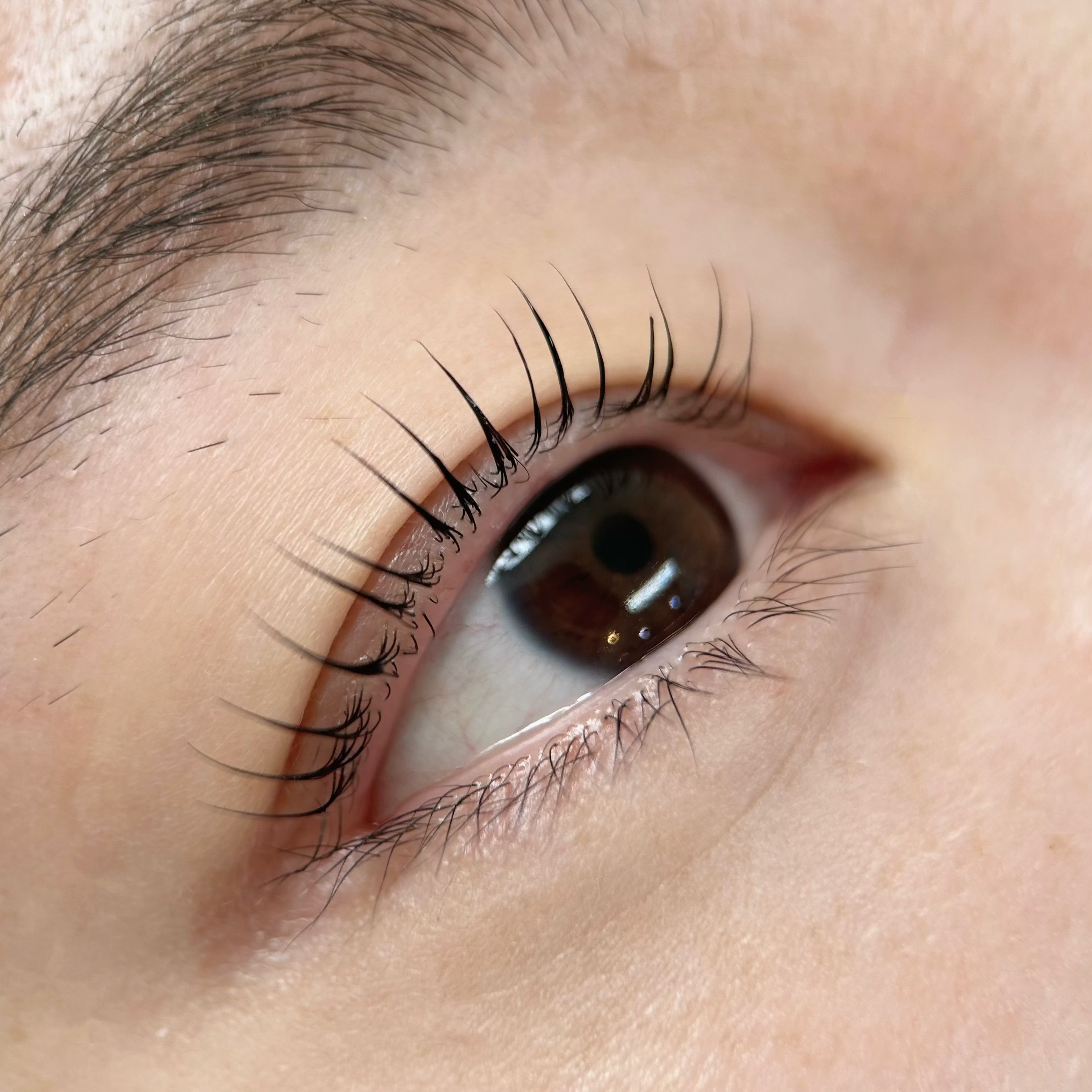 르솜브로우 대표 이미지