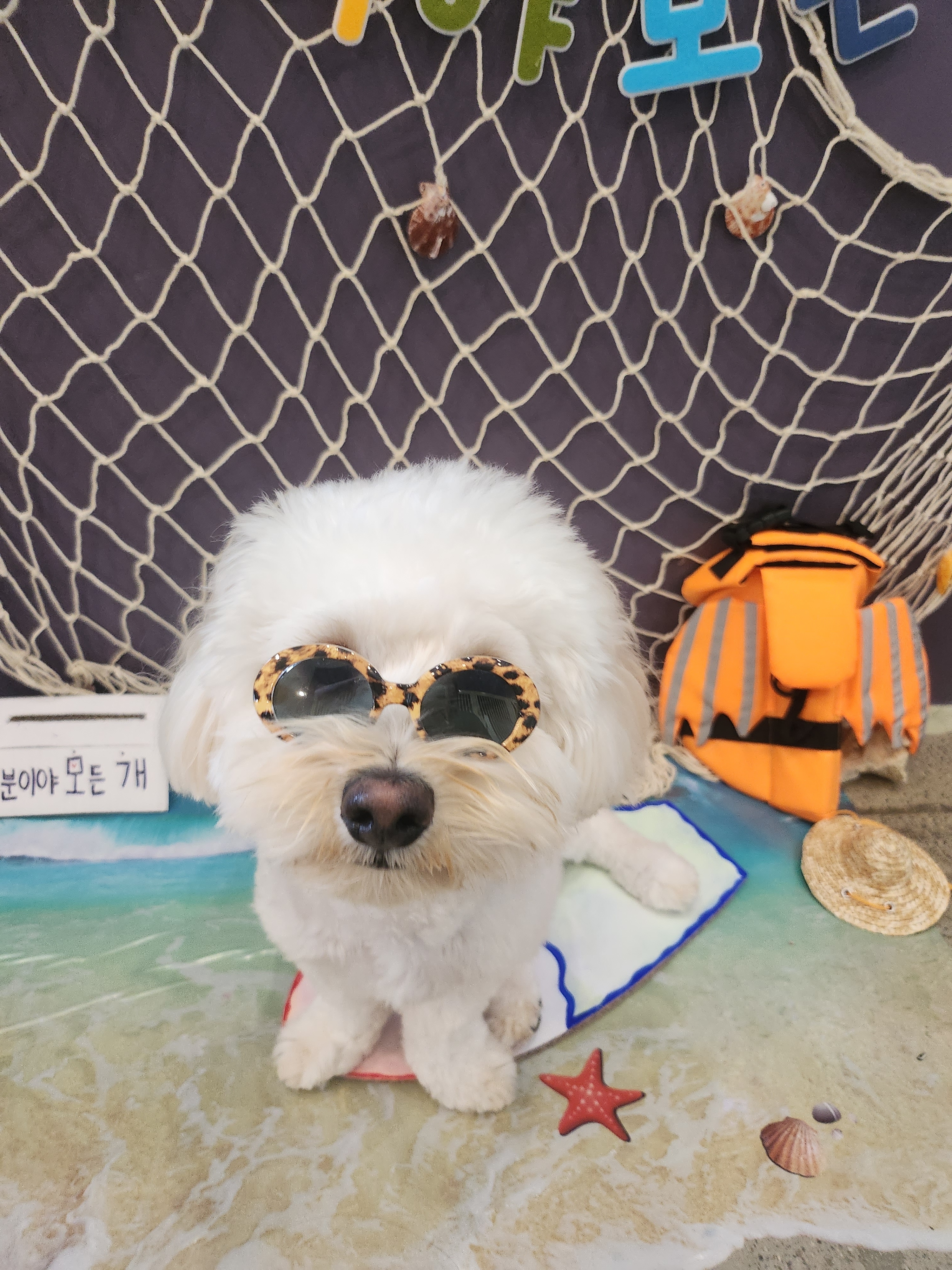 덕분이야모든개 애견유치원/애견호텔 대표 이미지