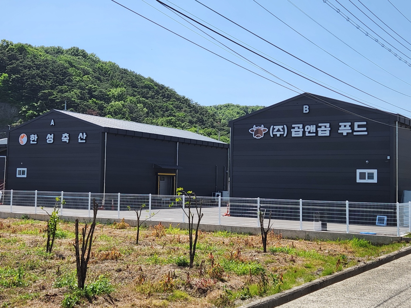 곱앤곱푸드