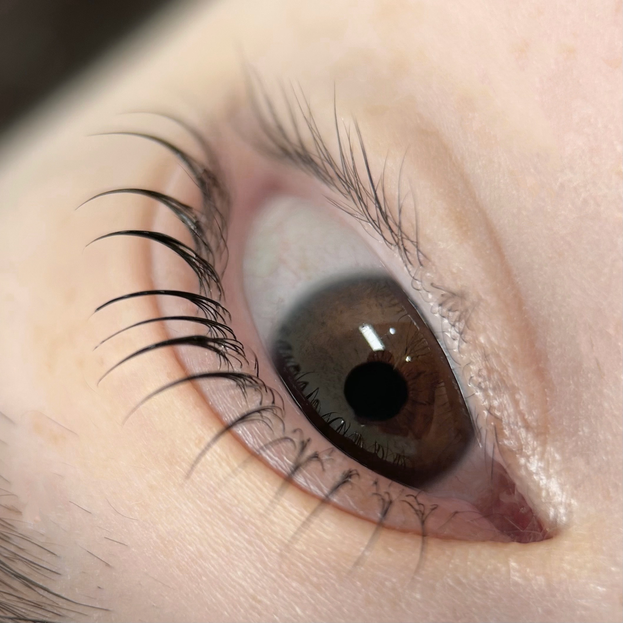 르솜브로우 대표 이미지