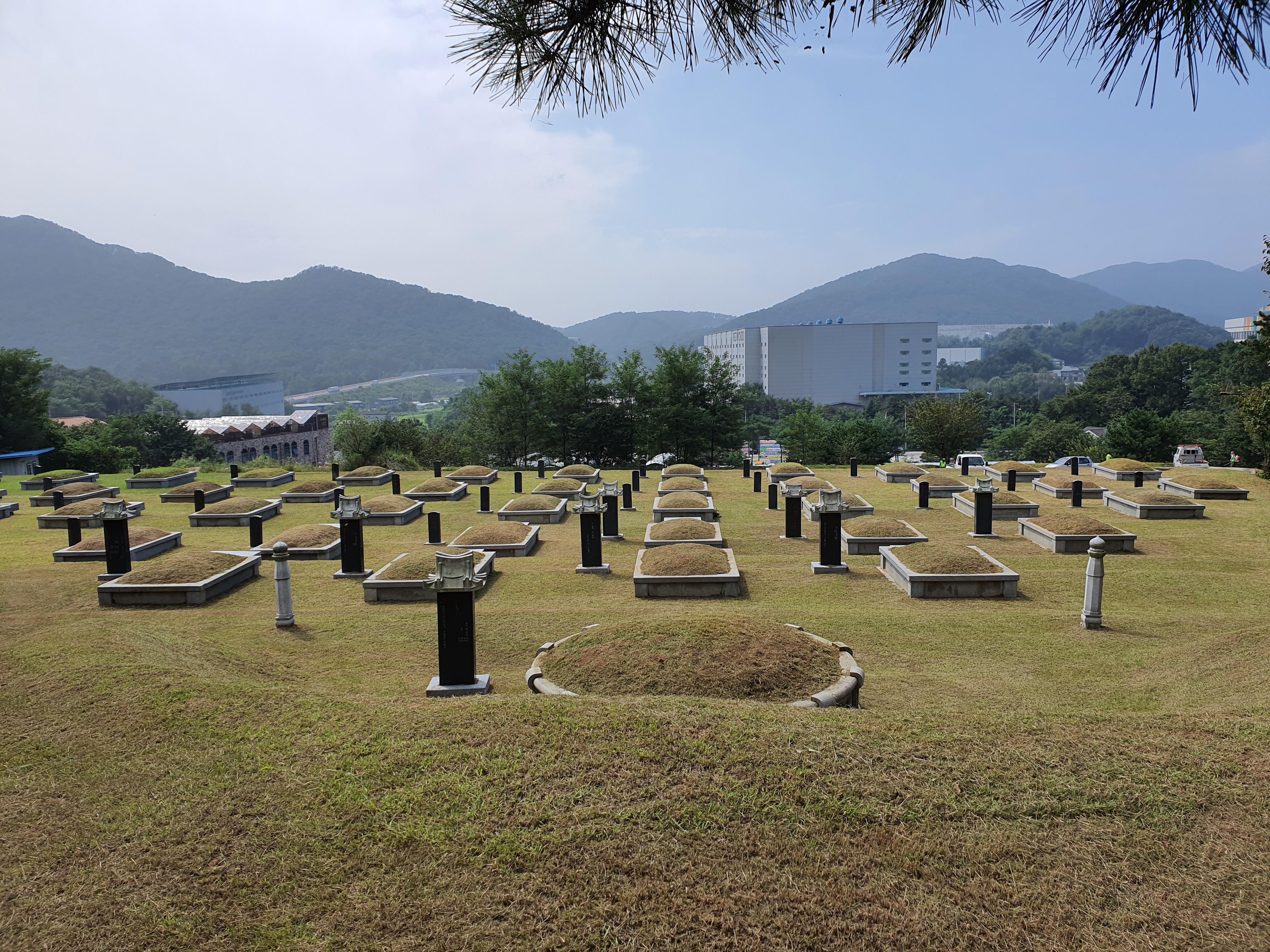 수 조경 벌초