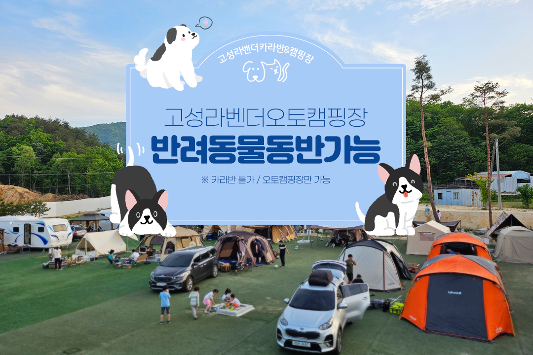고성라벤더캠핑장
