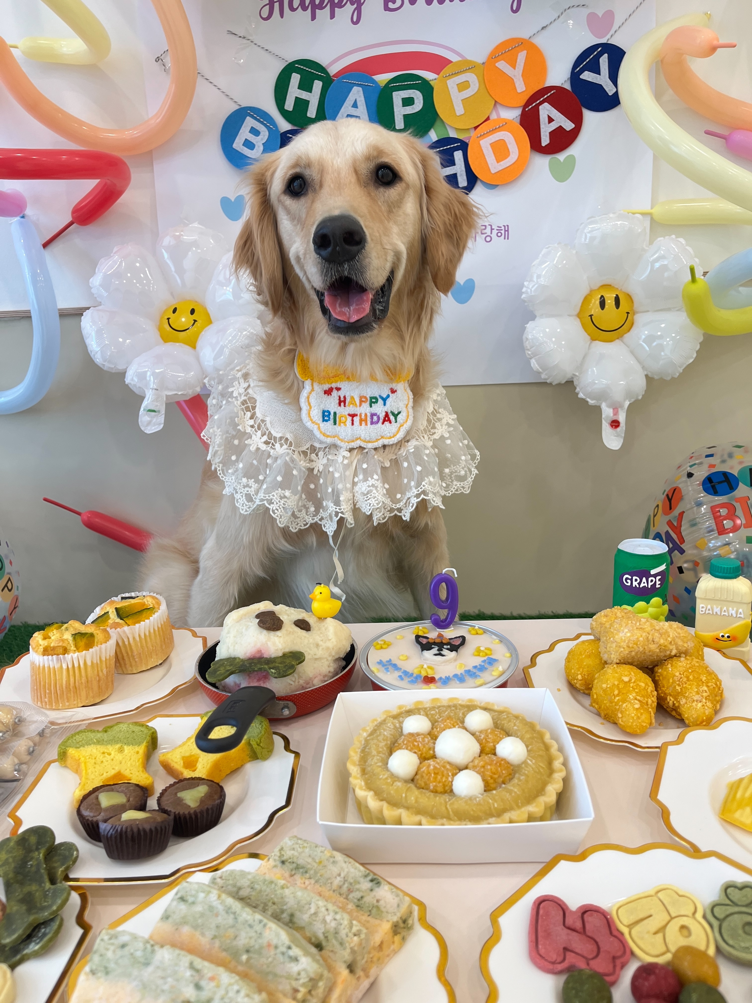 슈퍼해피독 대표 이미지