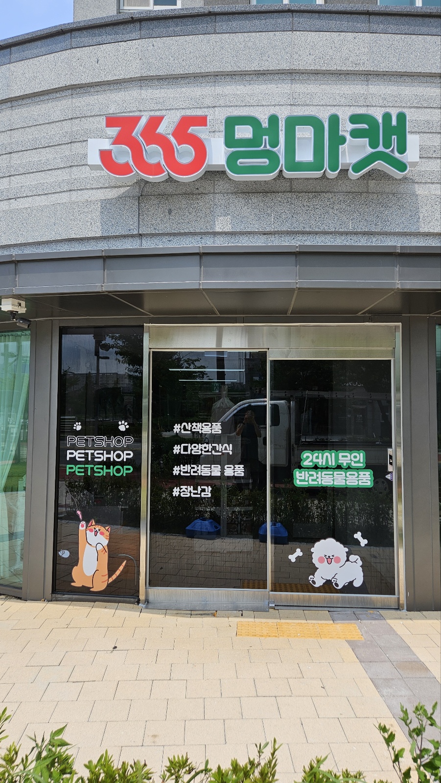 365멍마캣