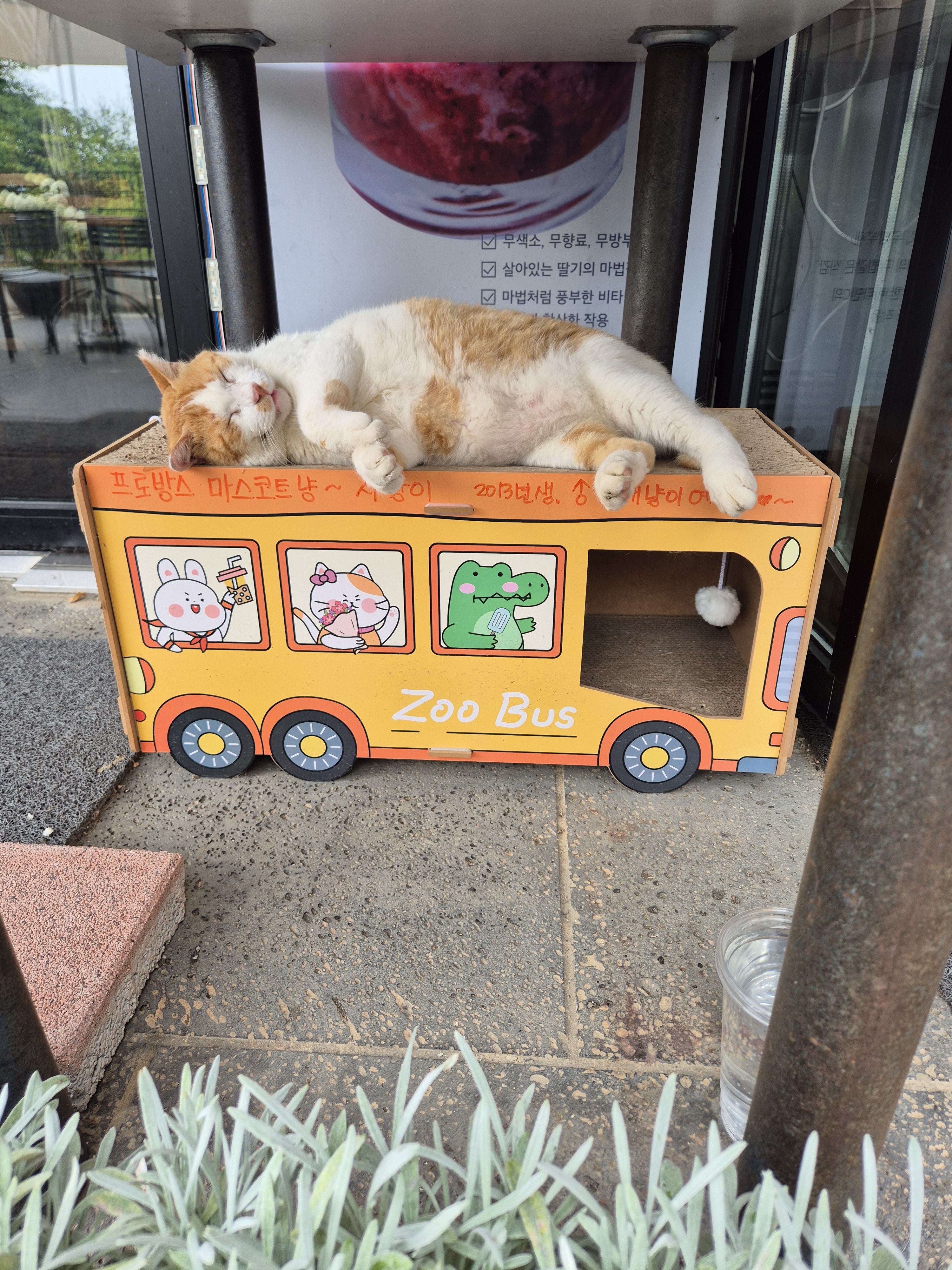 카페퀴너스
