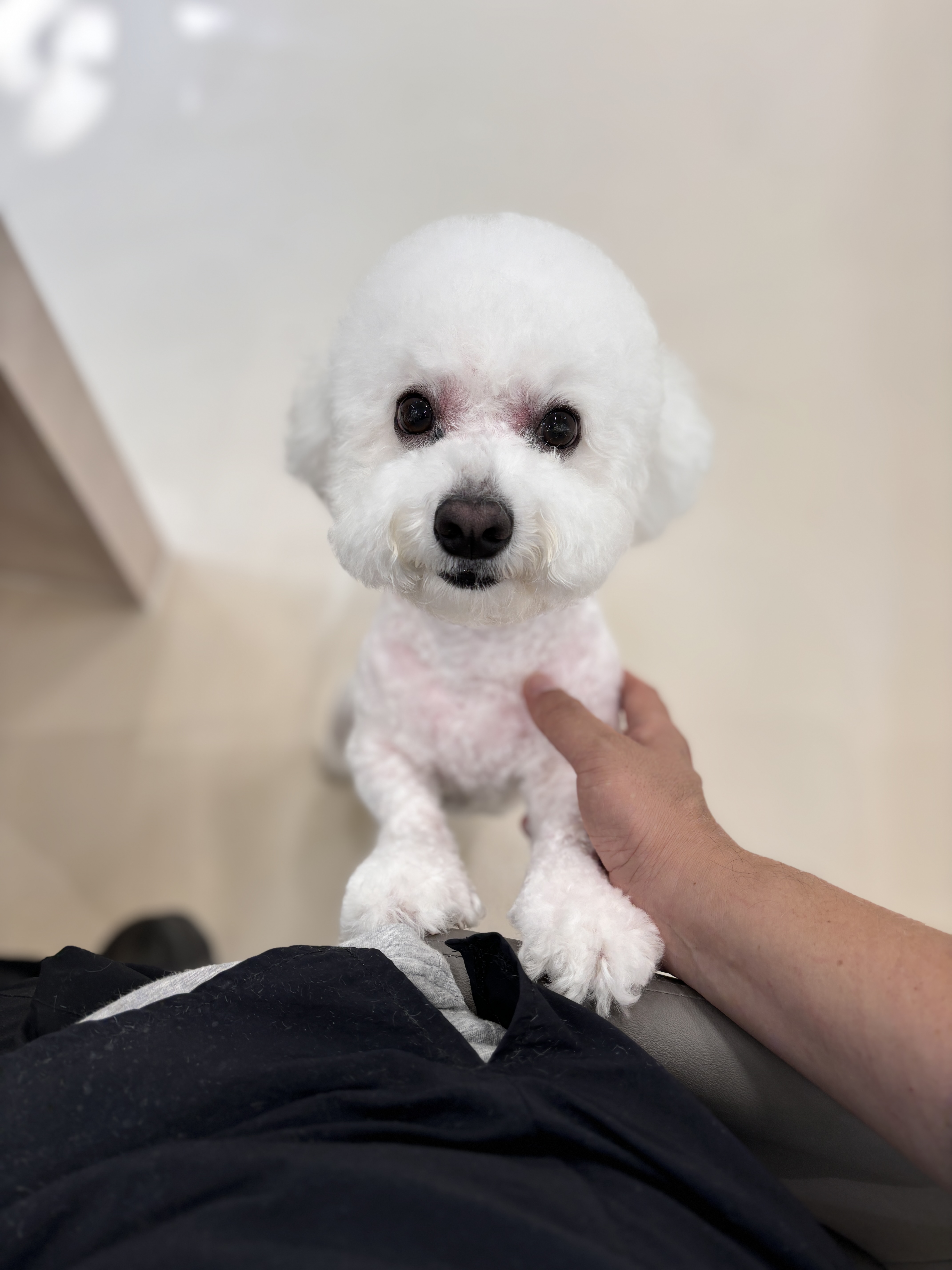 푸근푸근 대표 이미지