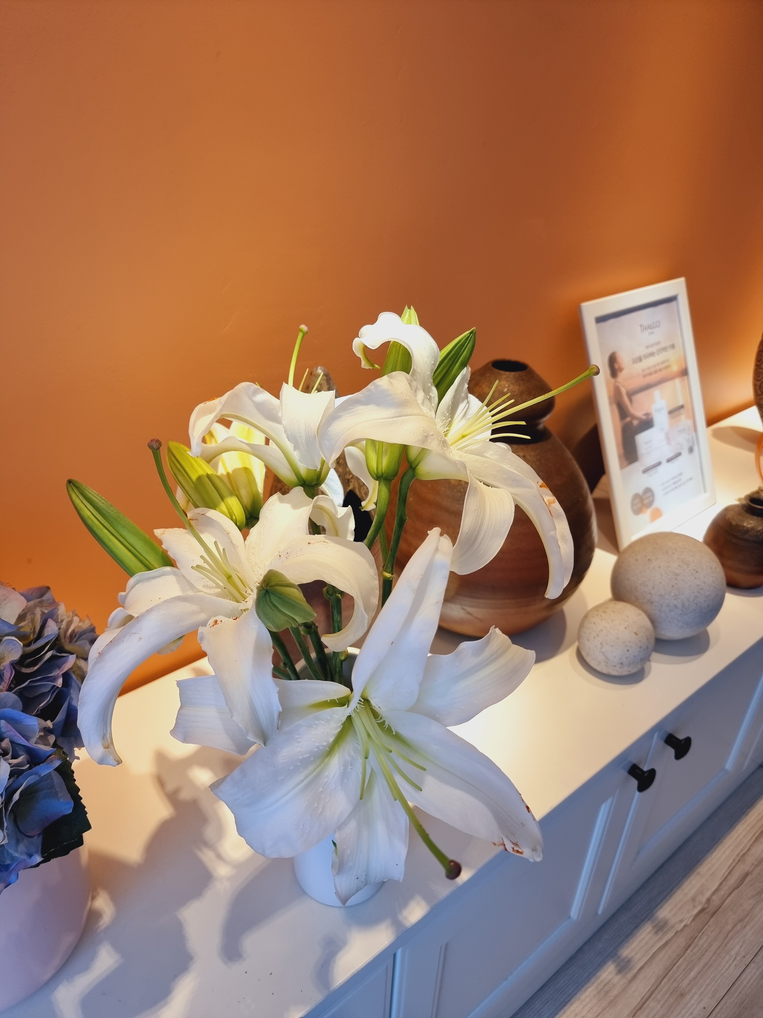 블렌치 photo 10