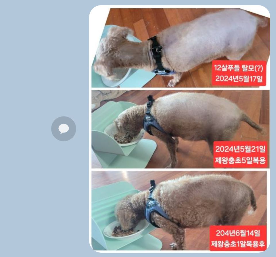 큐사랑