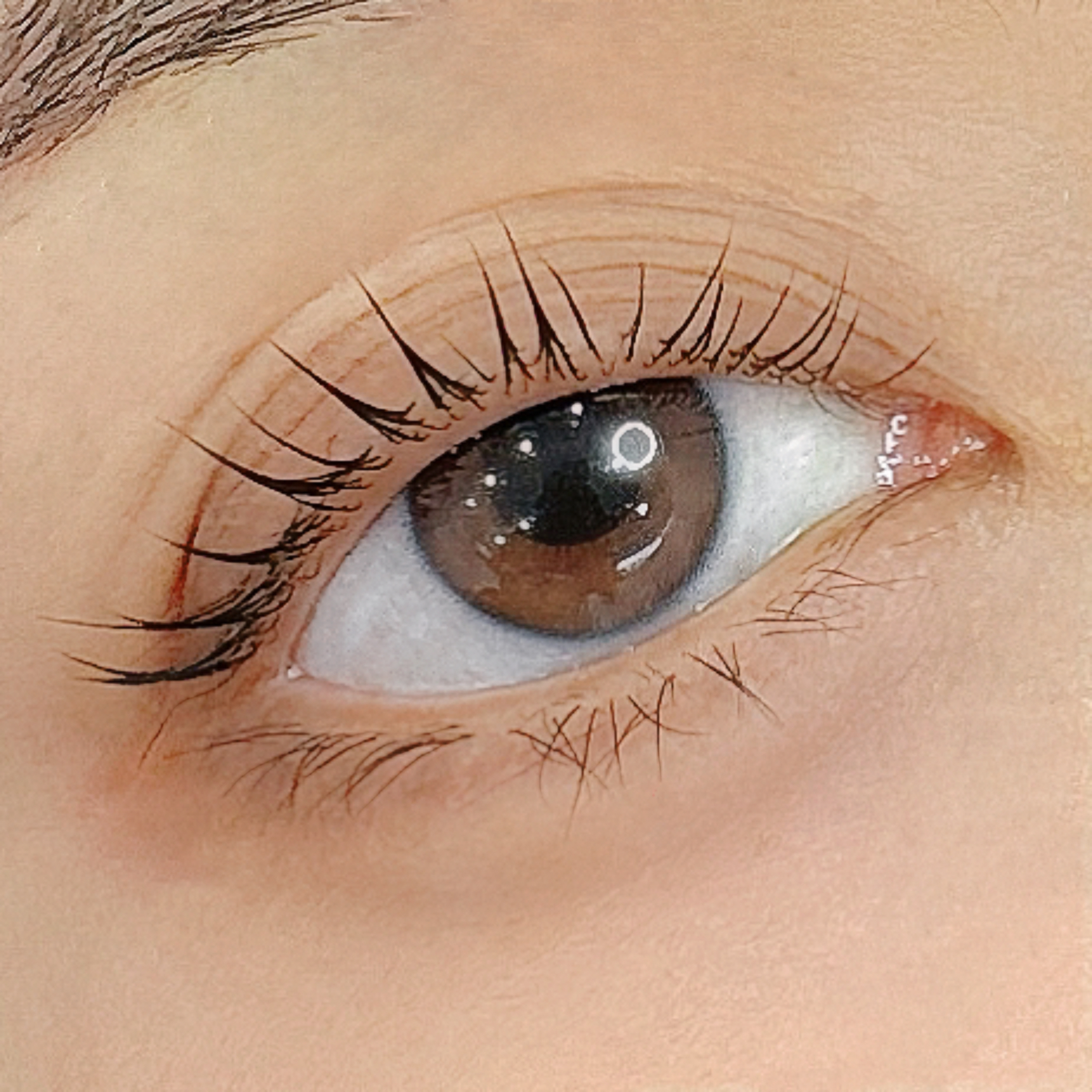 로니브로우 대표 이미지