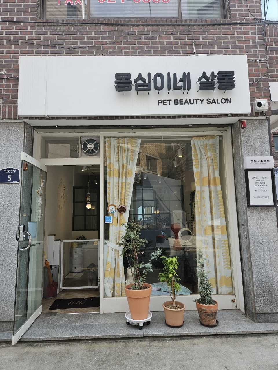 옹심이네살롱