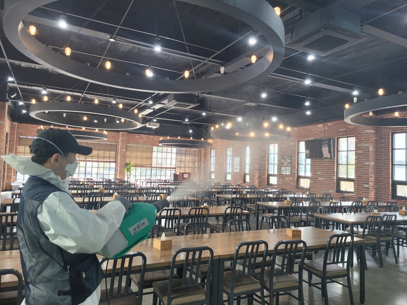 푸른숲