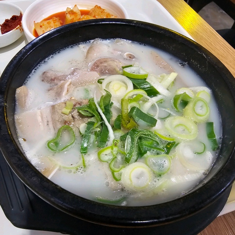 신토불이식당 반려동물 동반 애견카페
