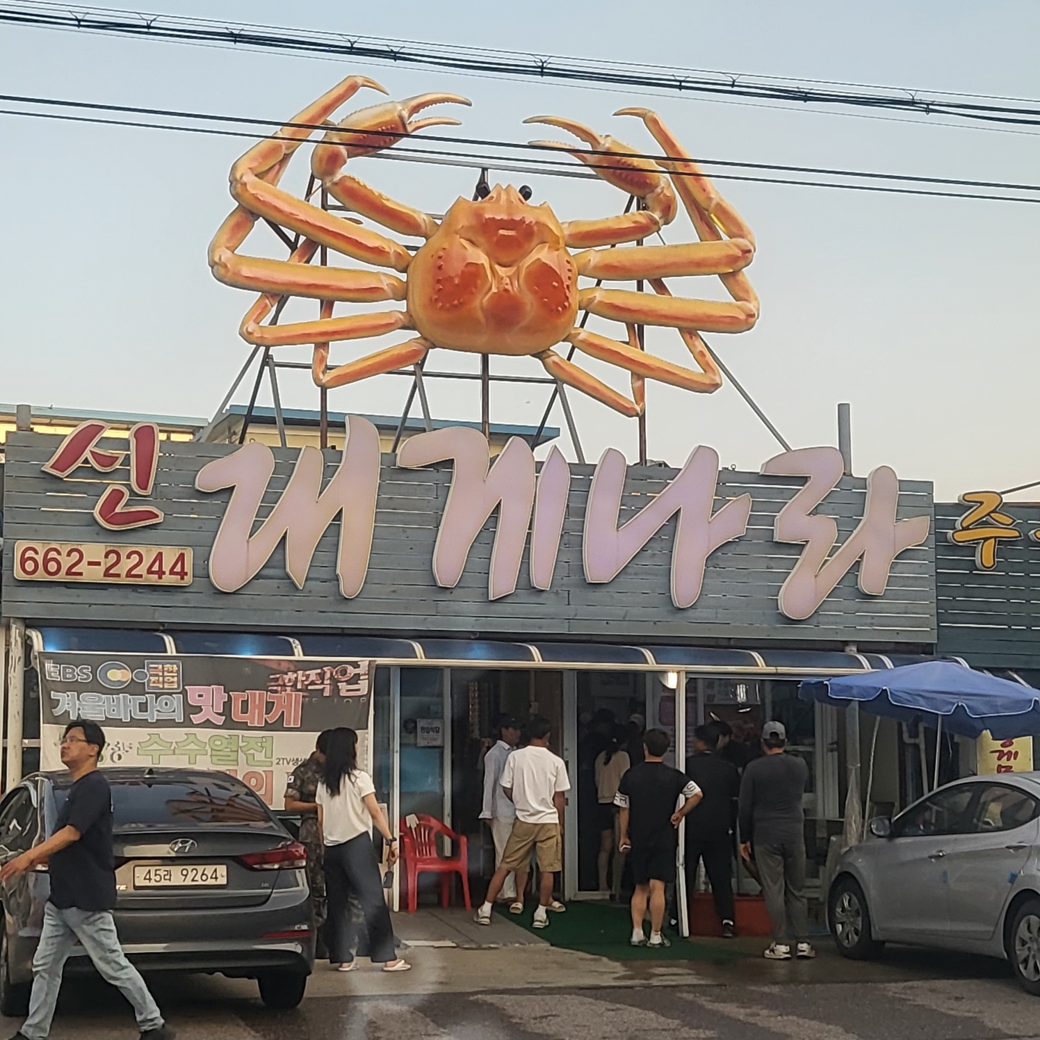 신대게나라