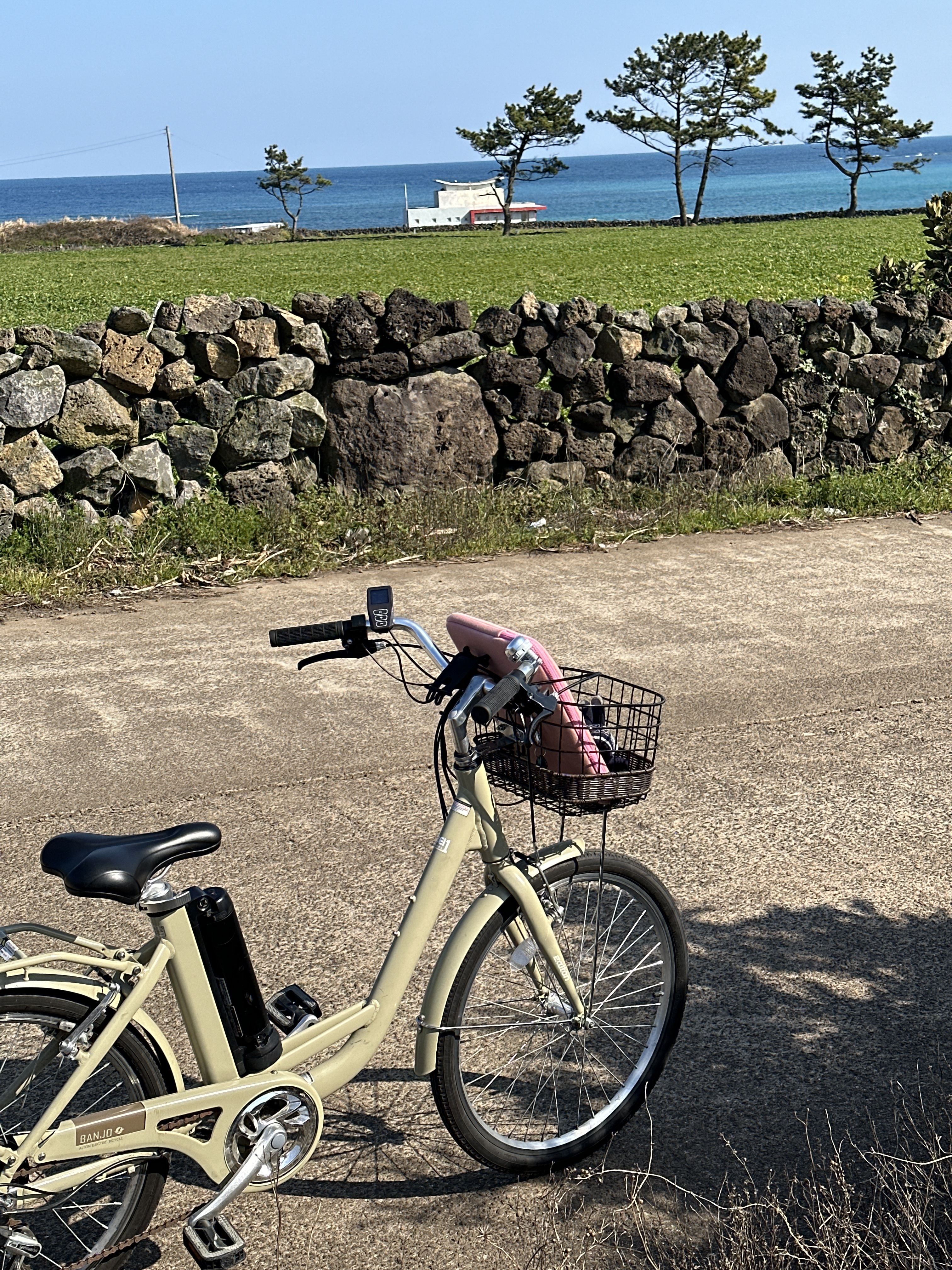 꽃길만걷차 신창풍차해안도로점 대표 이미지