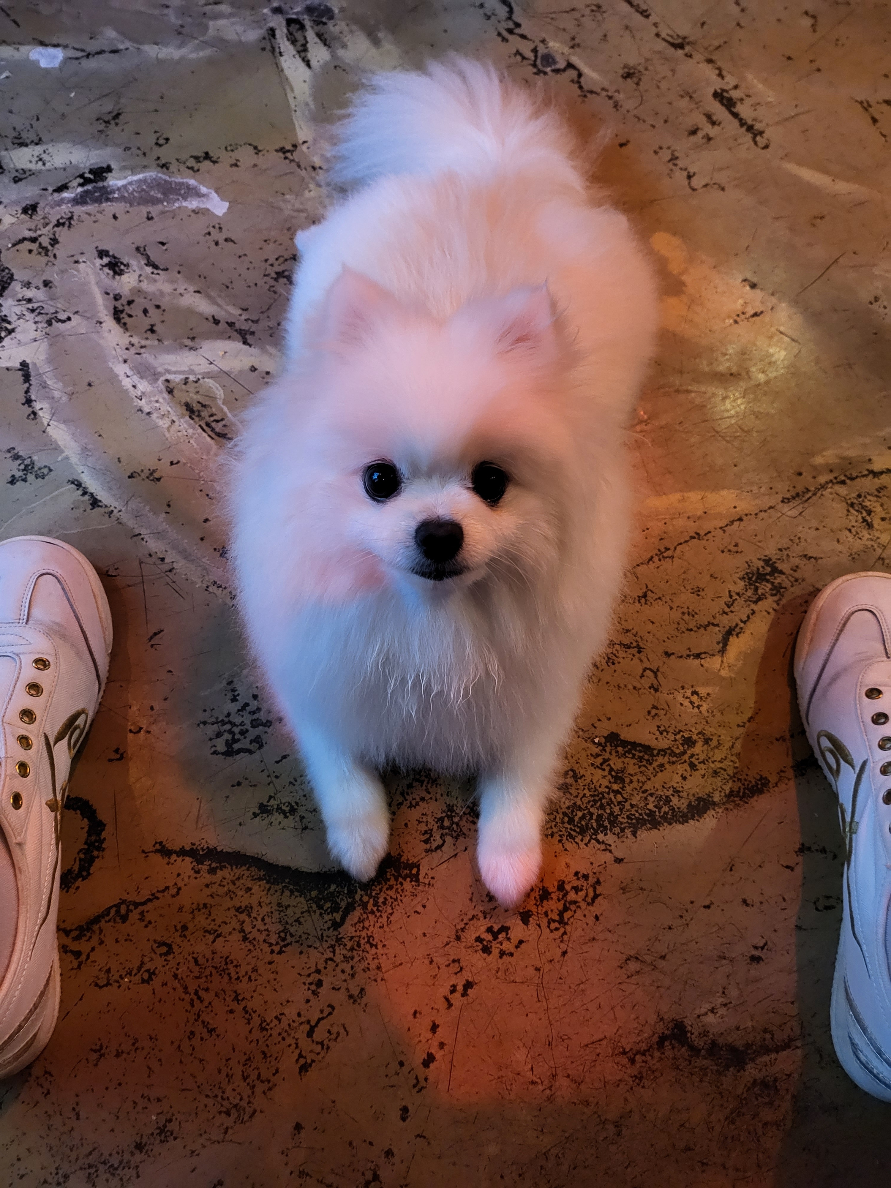 별이네포차 3