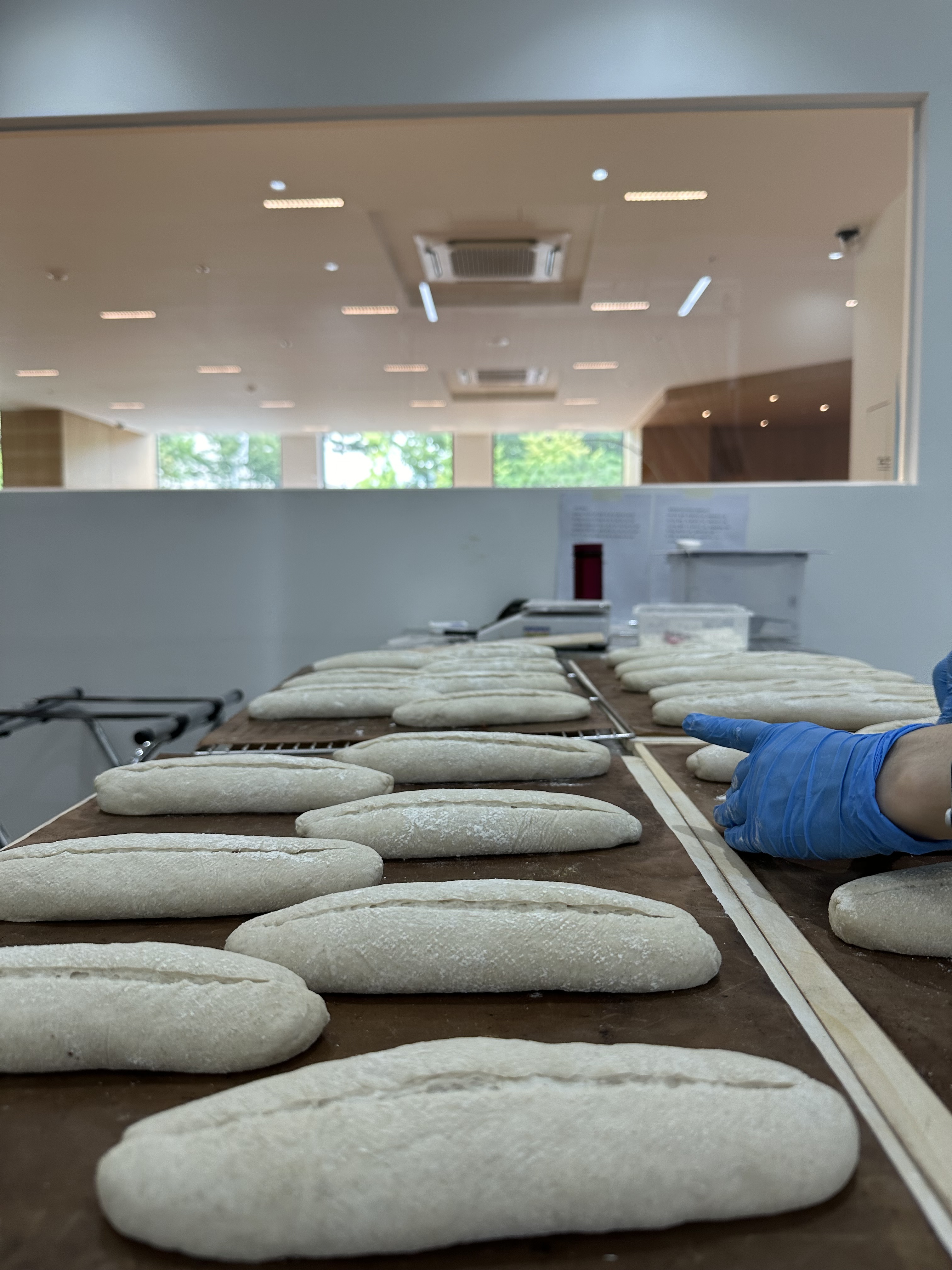 오커쇼어 대표 이미지