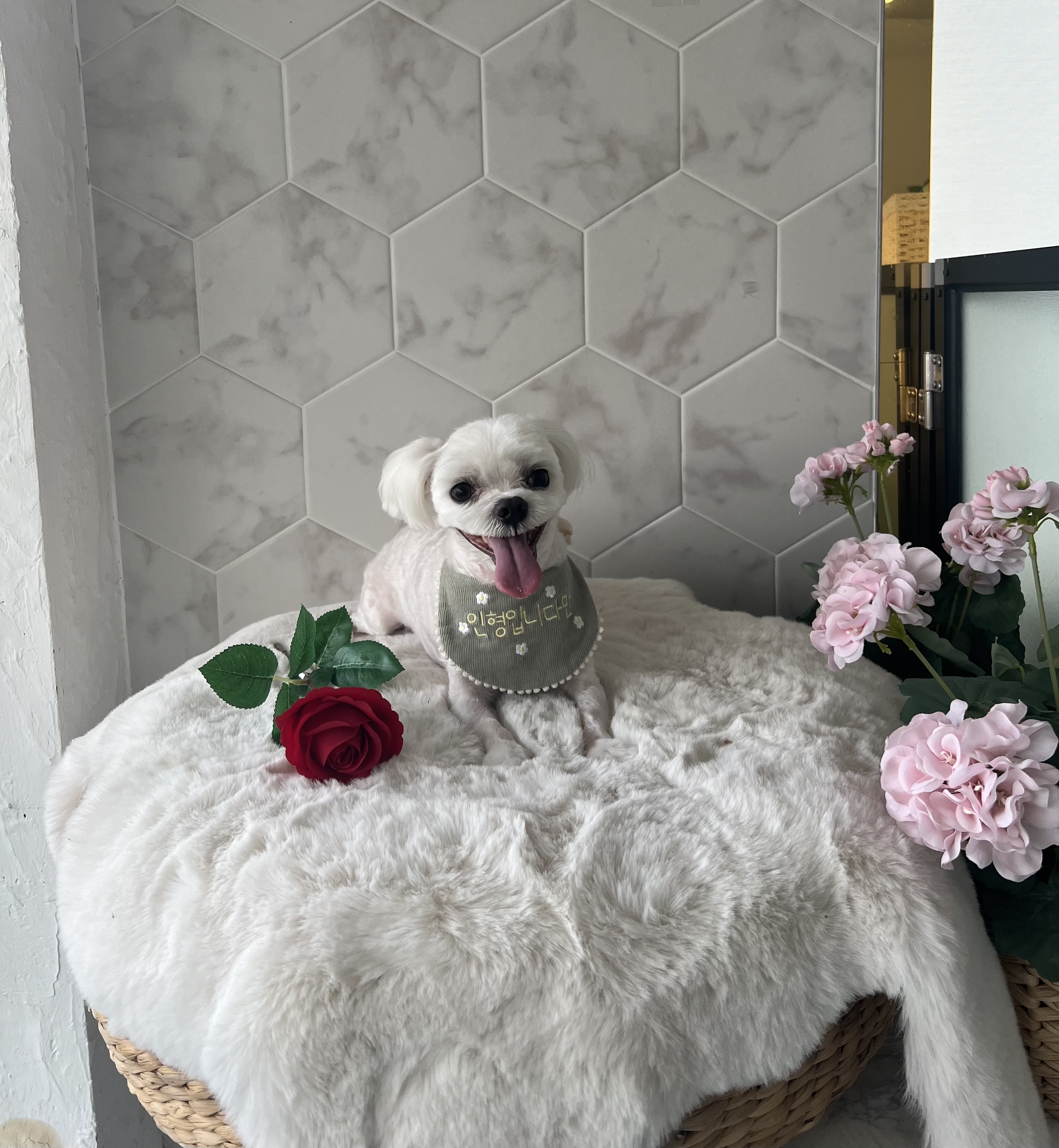 오키독키 대표 이미지