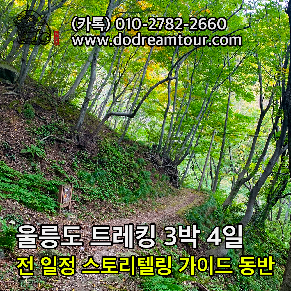 두드림여행사