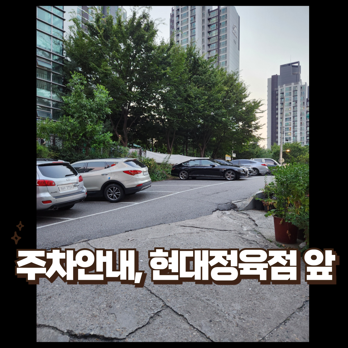 업체사진