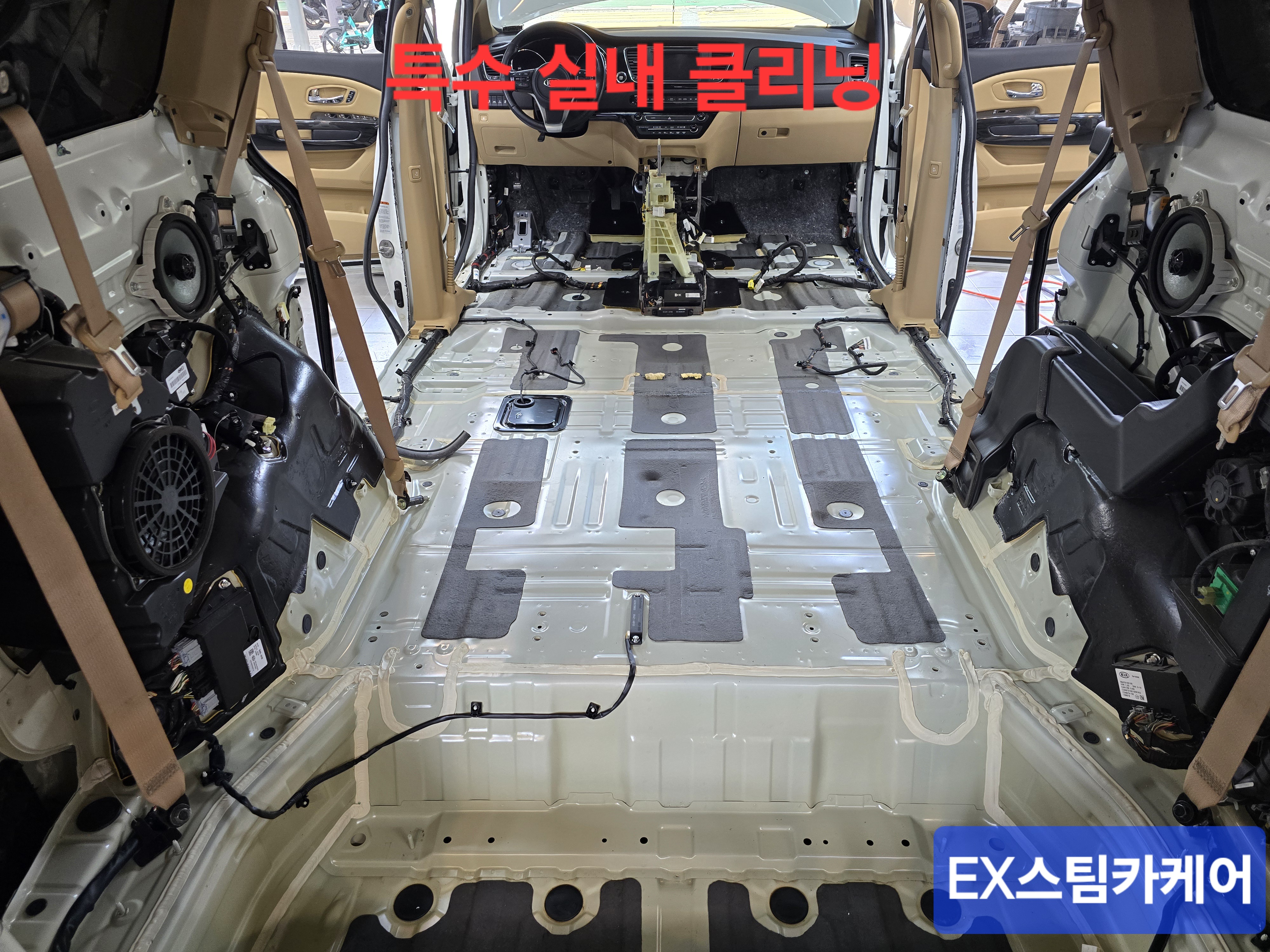 EX스팀카케어