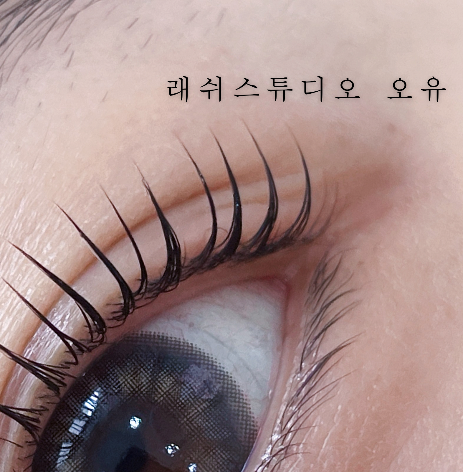 래쉬스튜디오 오유